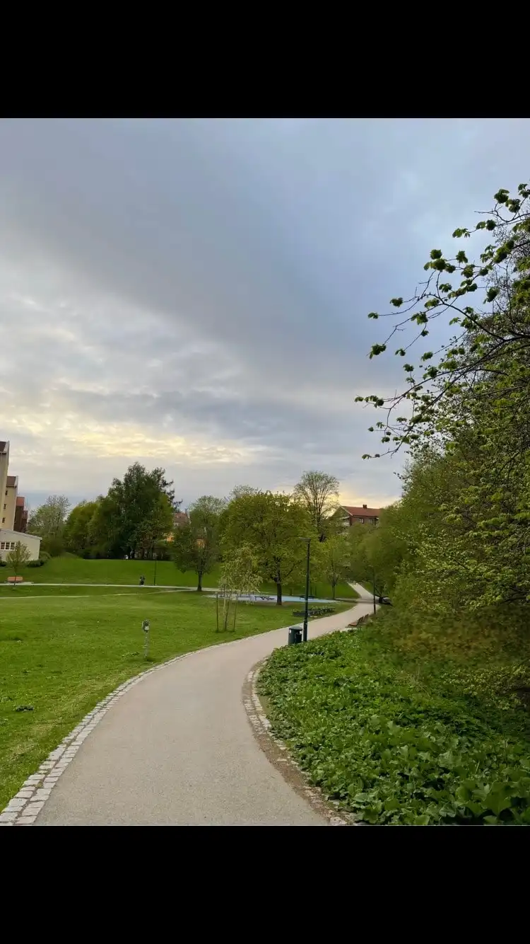image-14