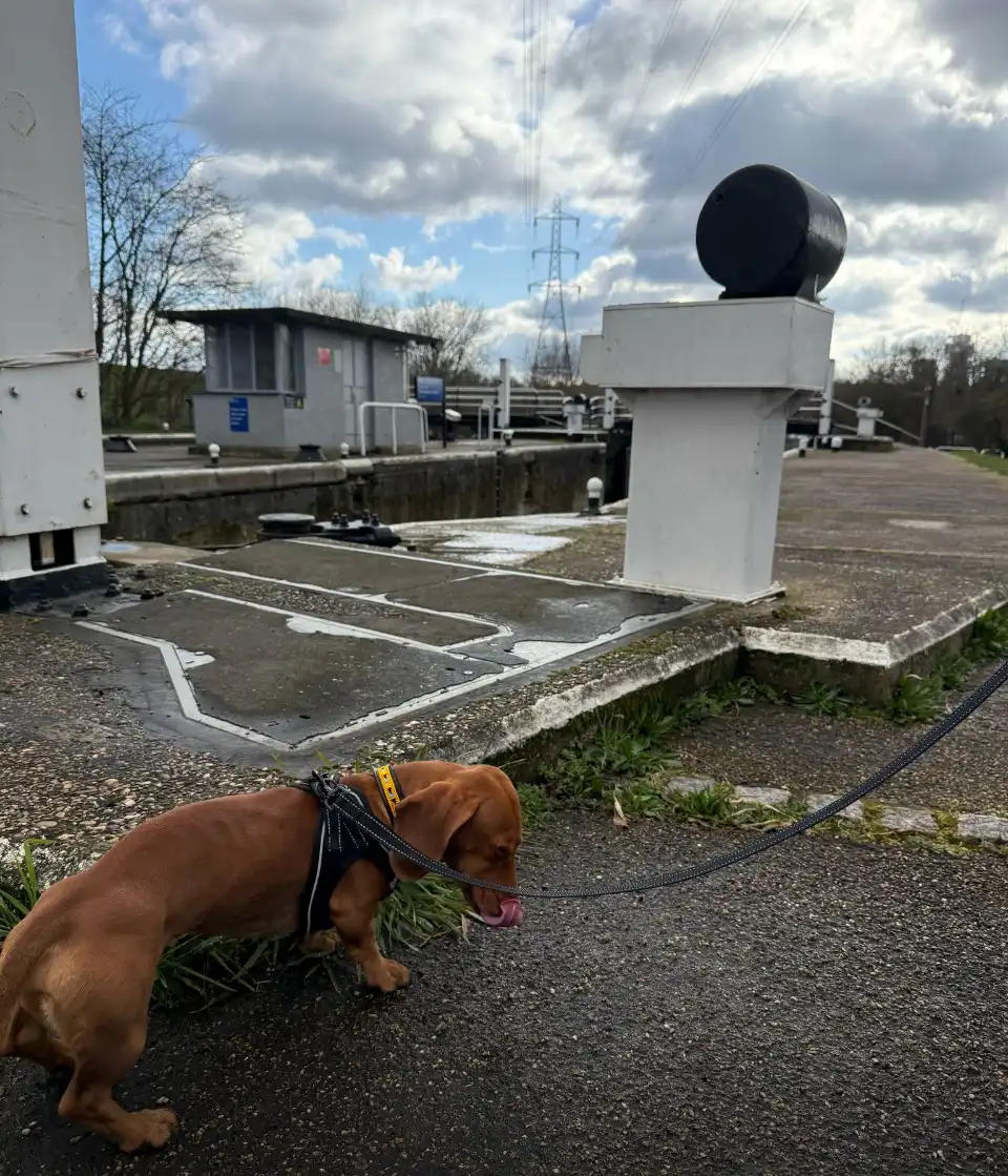image-14