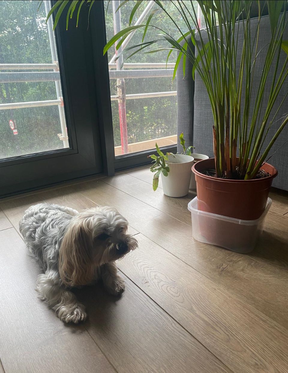 image-16