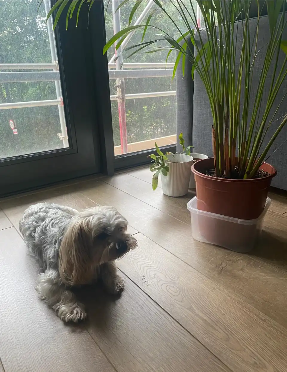 image-16