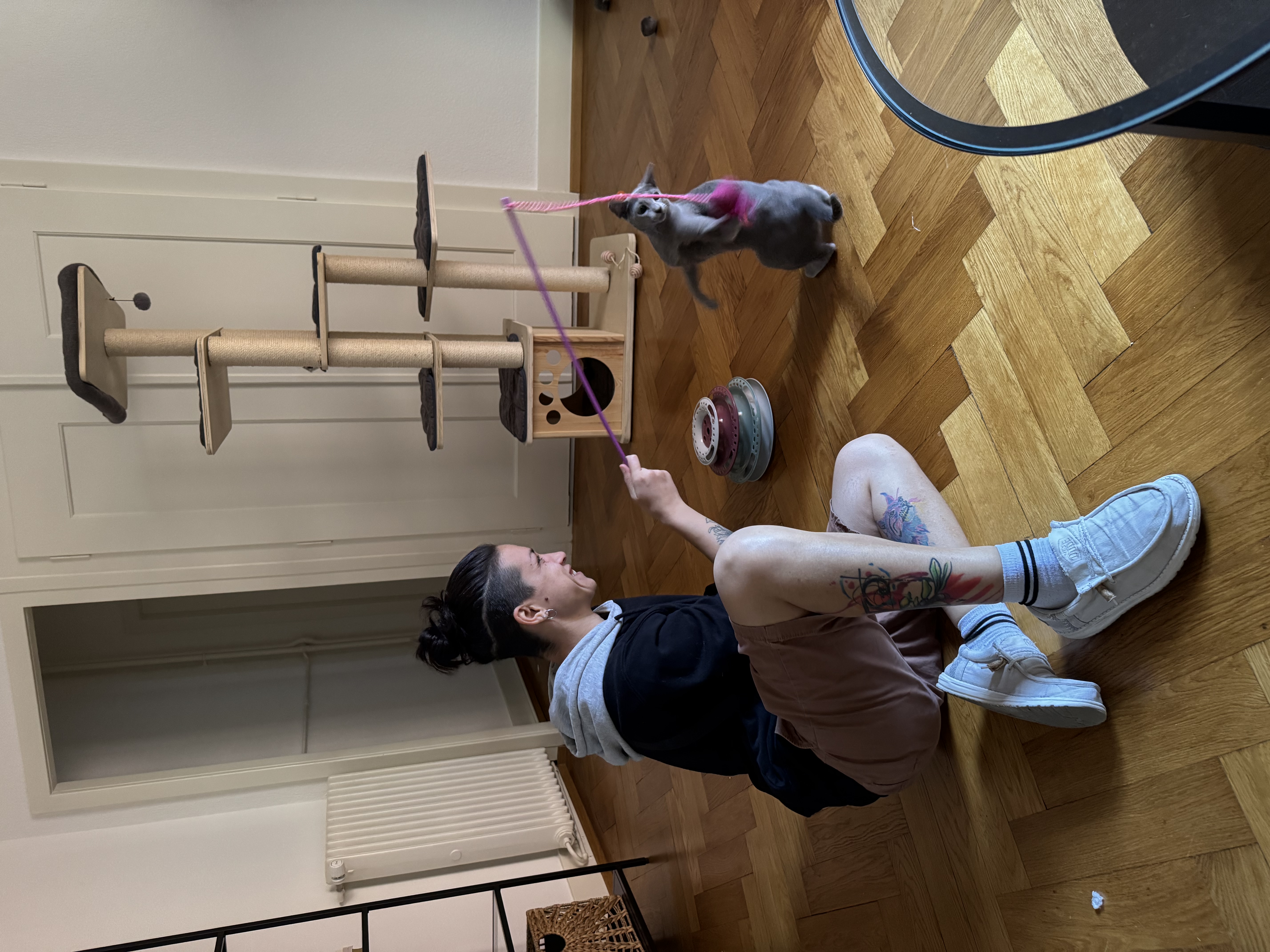 image-11