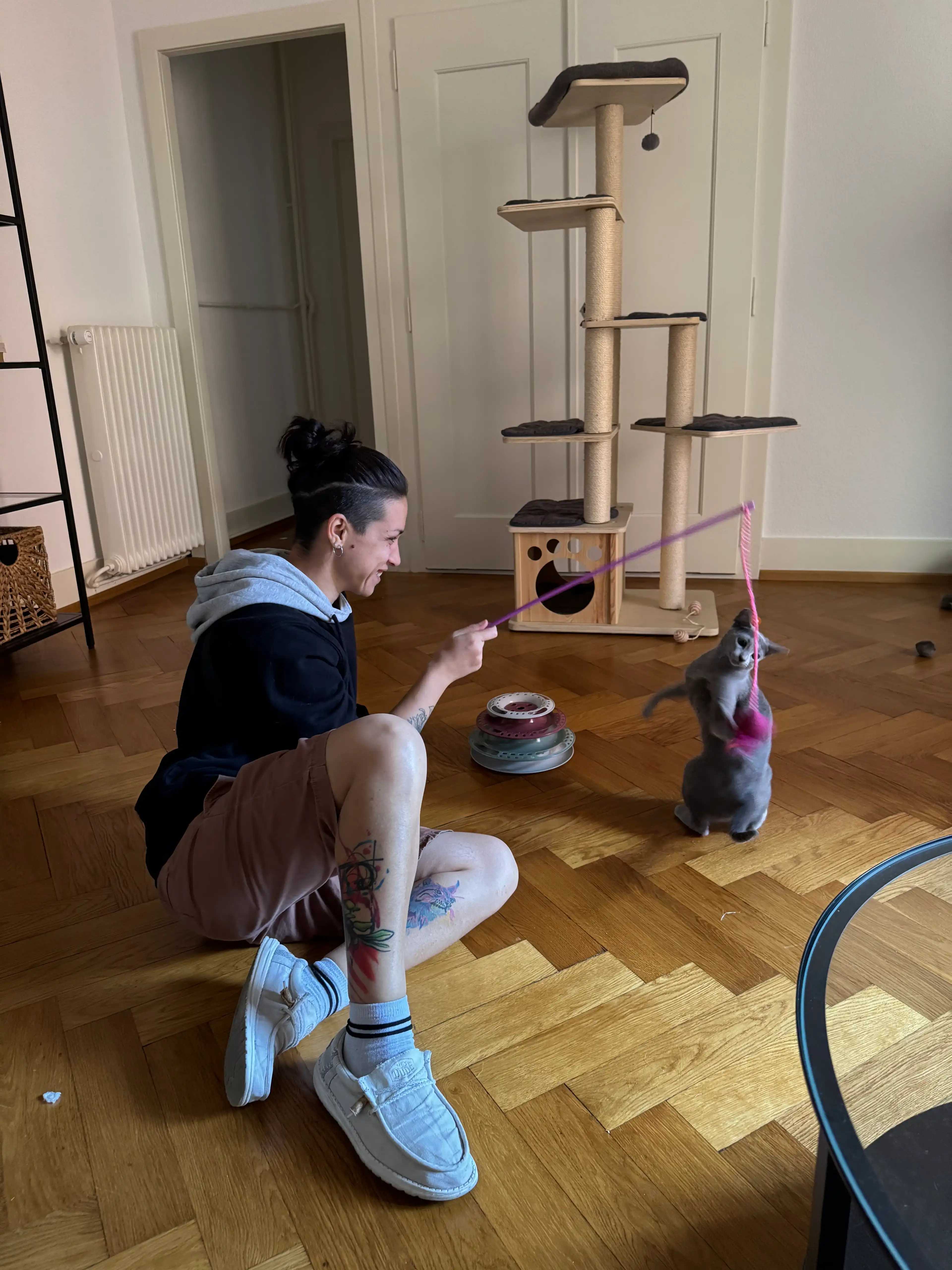 image-11