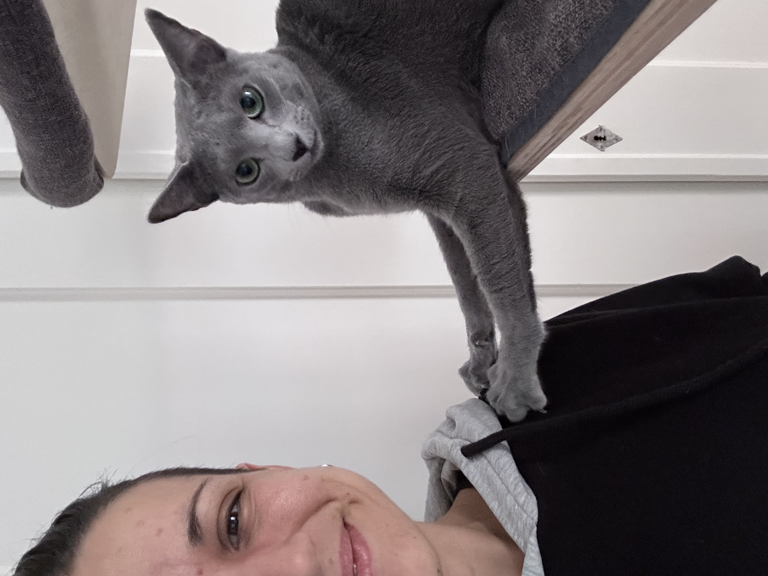 image-9