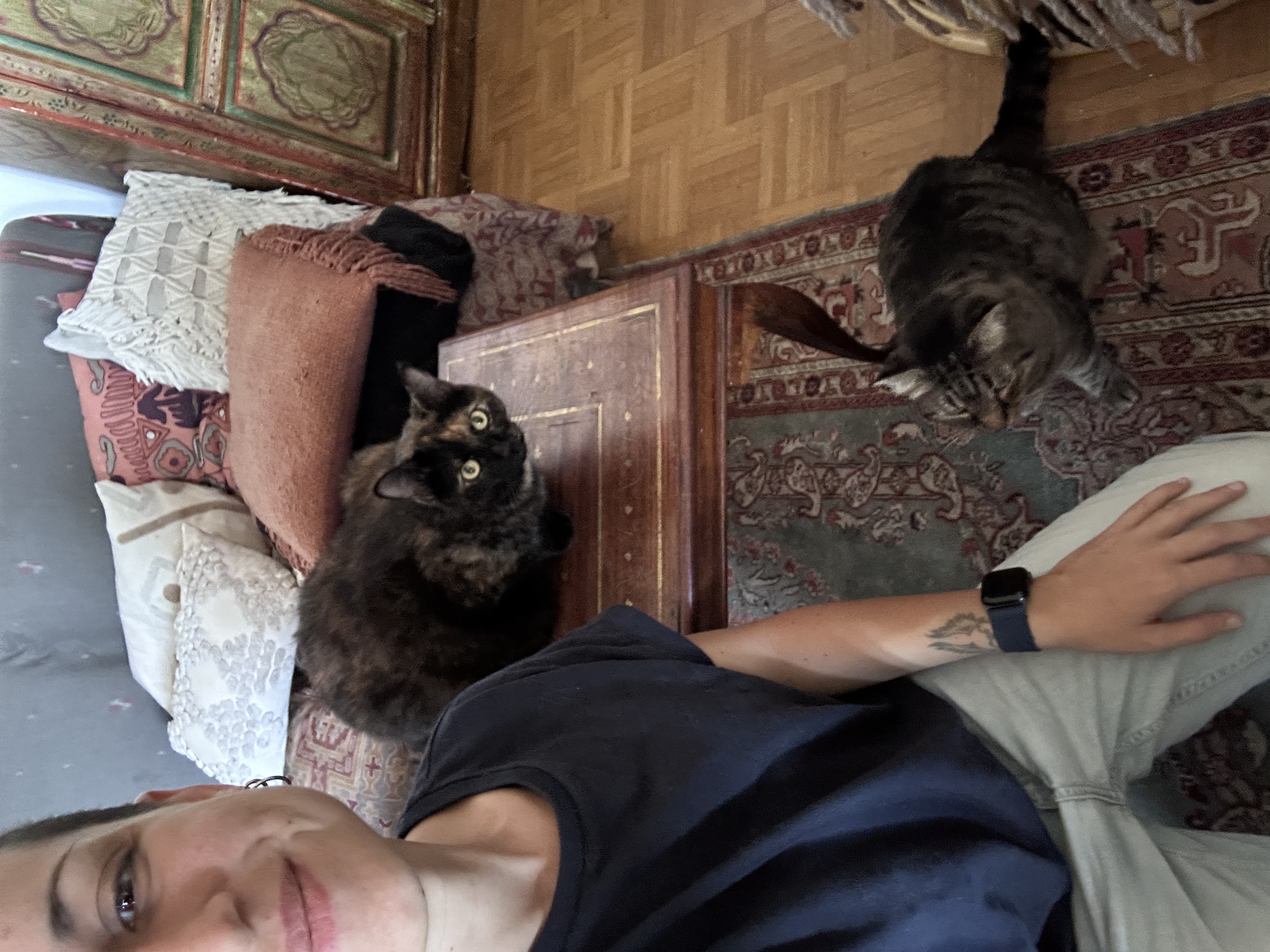 image-14