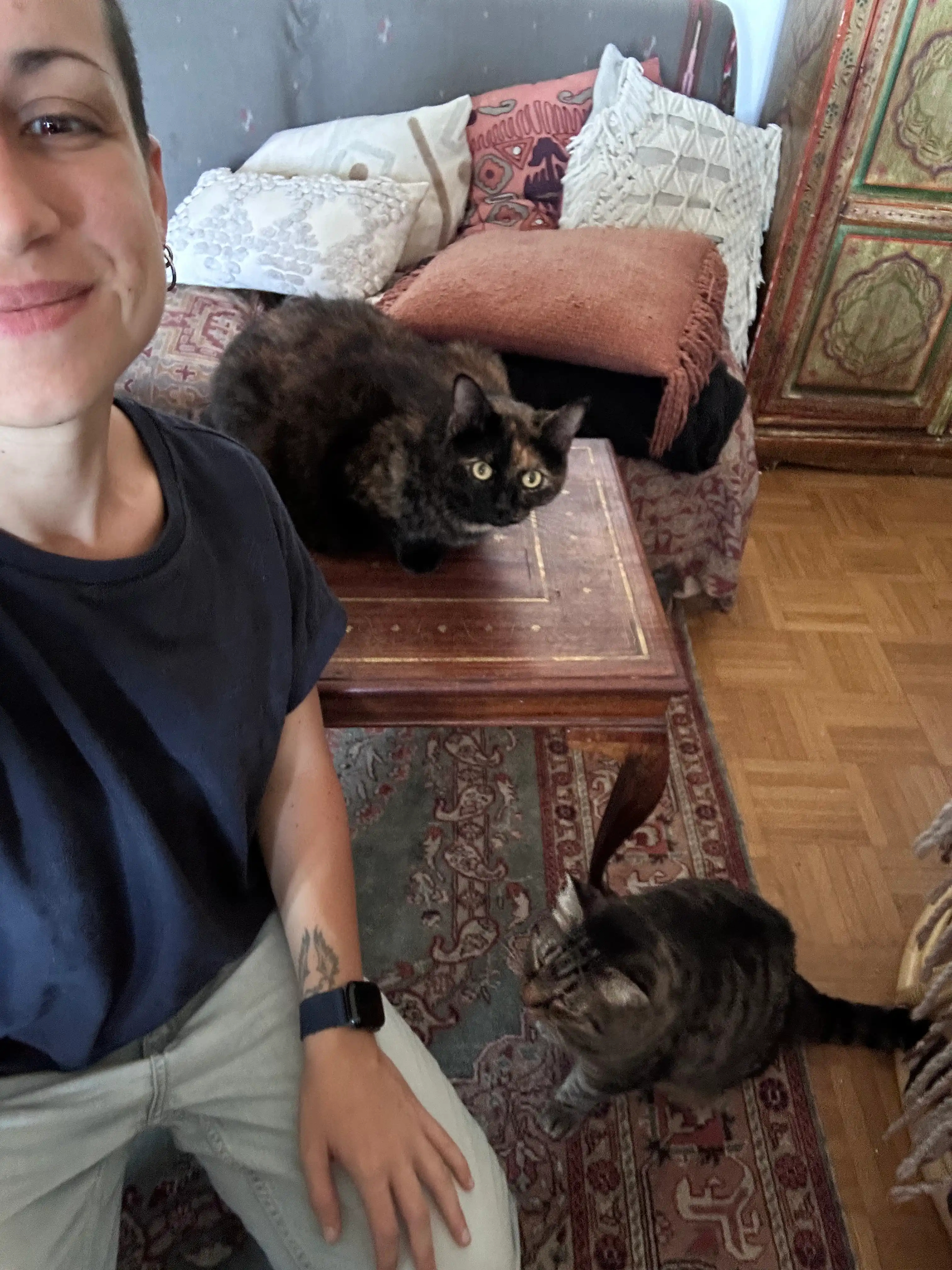 image-14