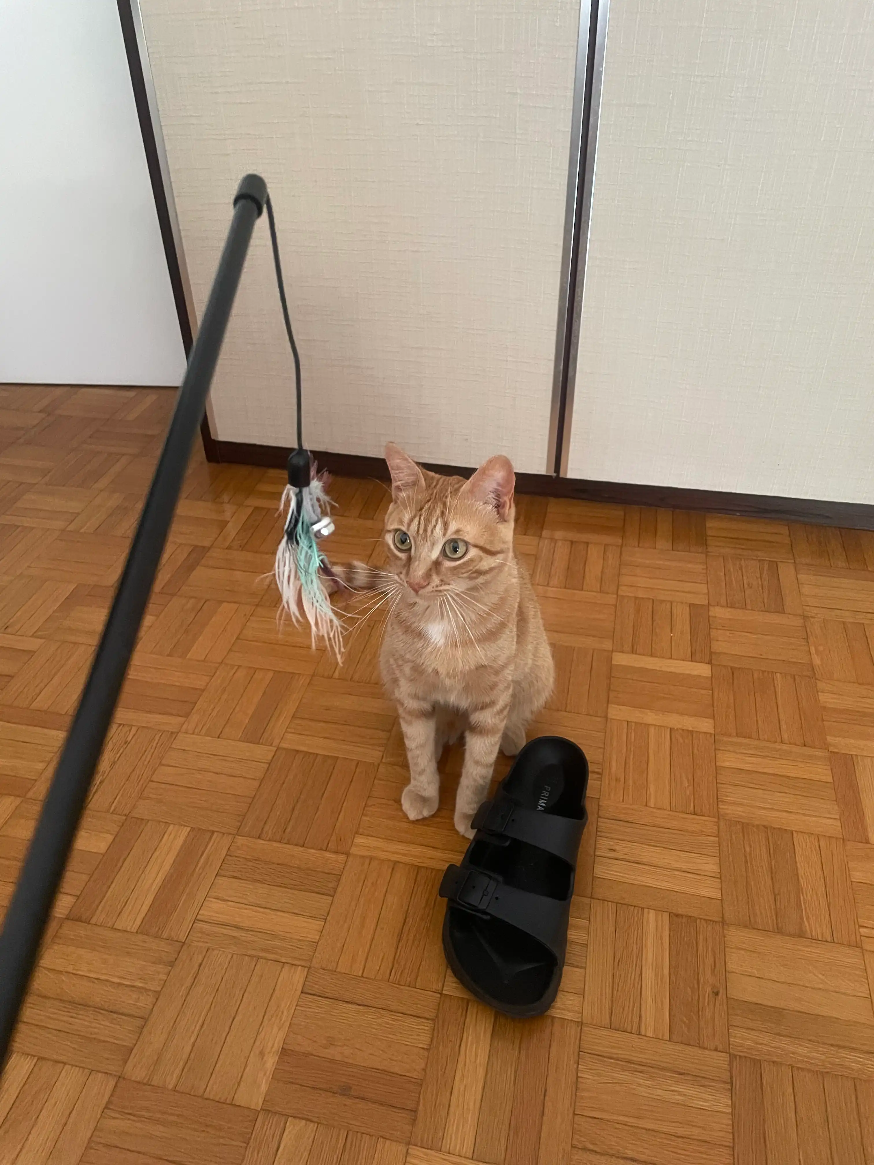 image-18