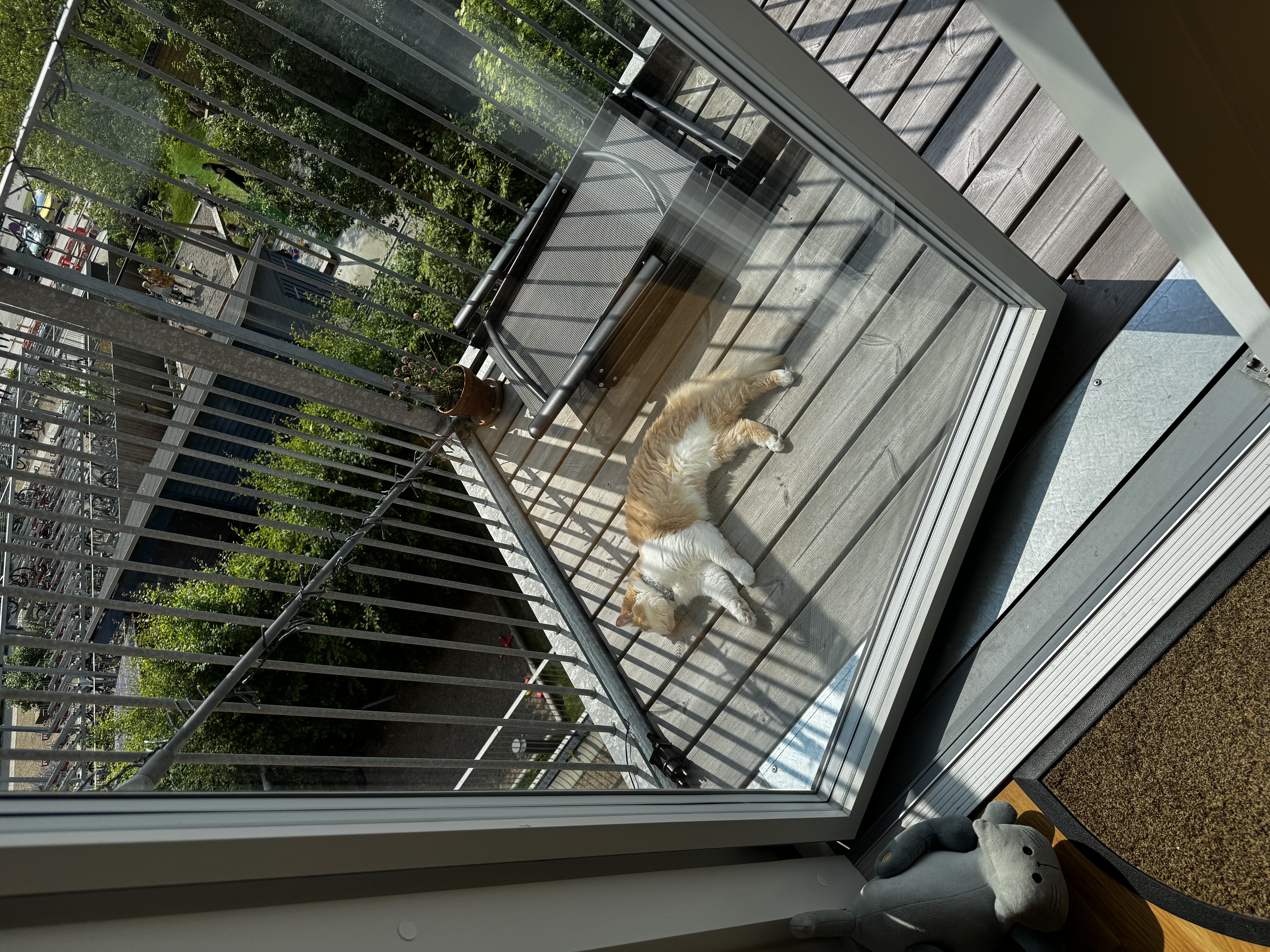 image-11