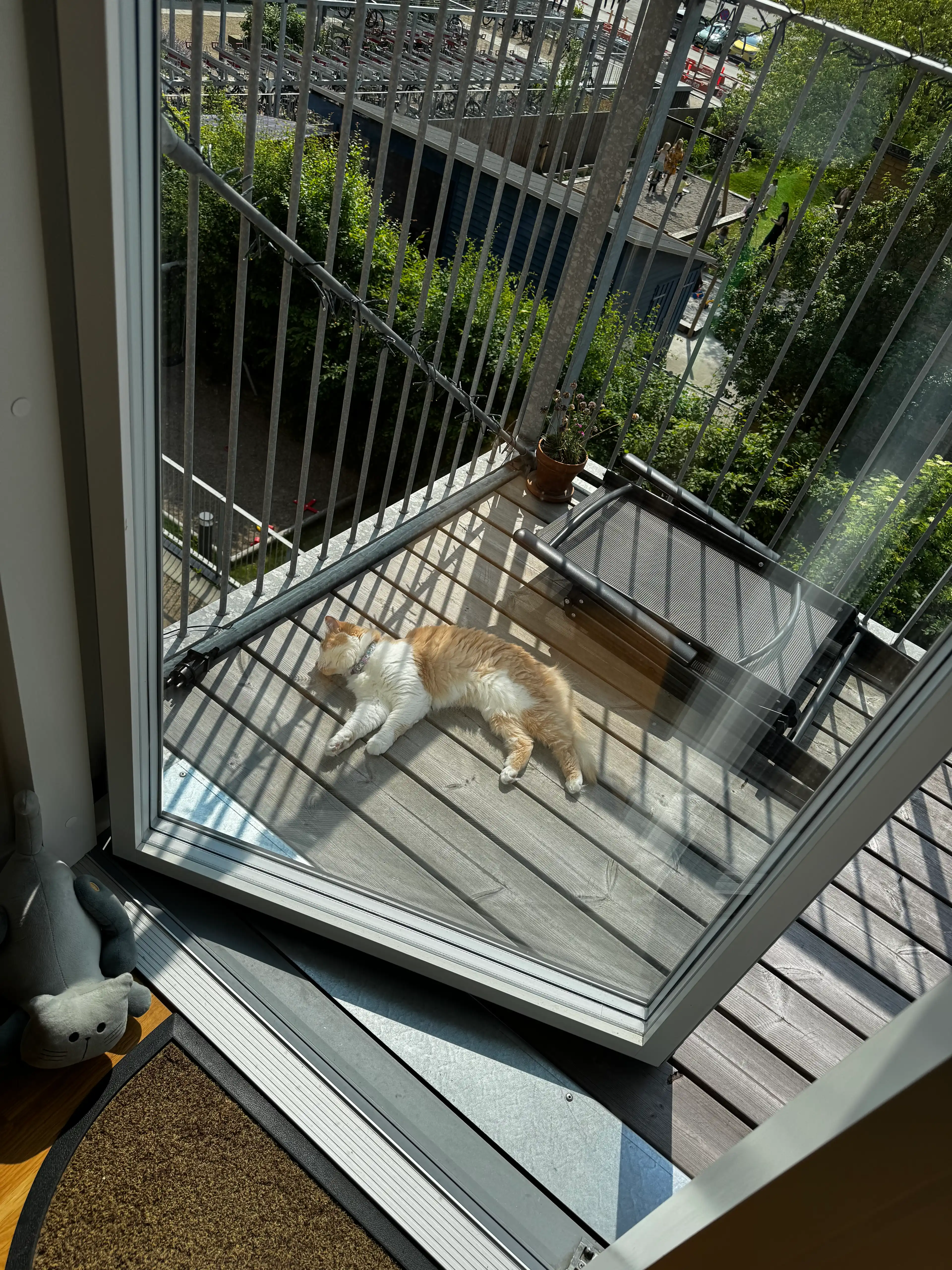 image-11