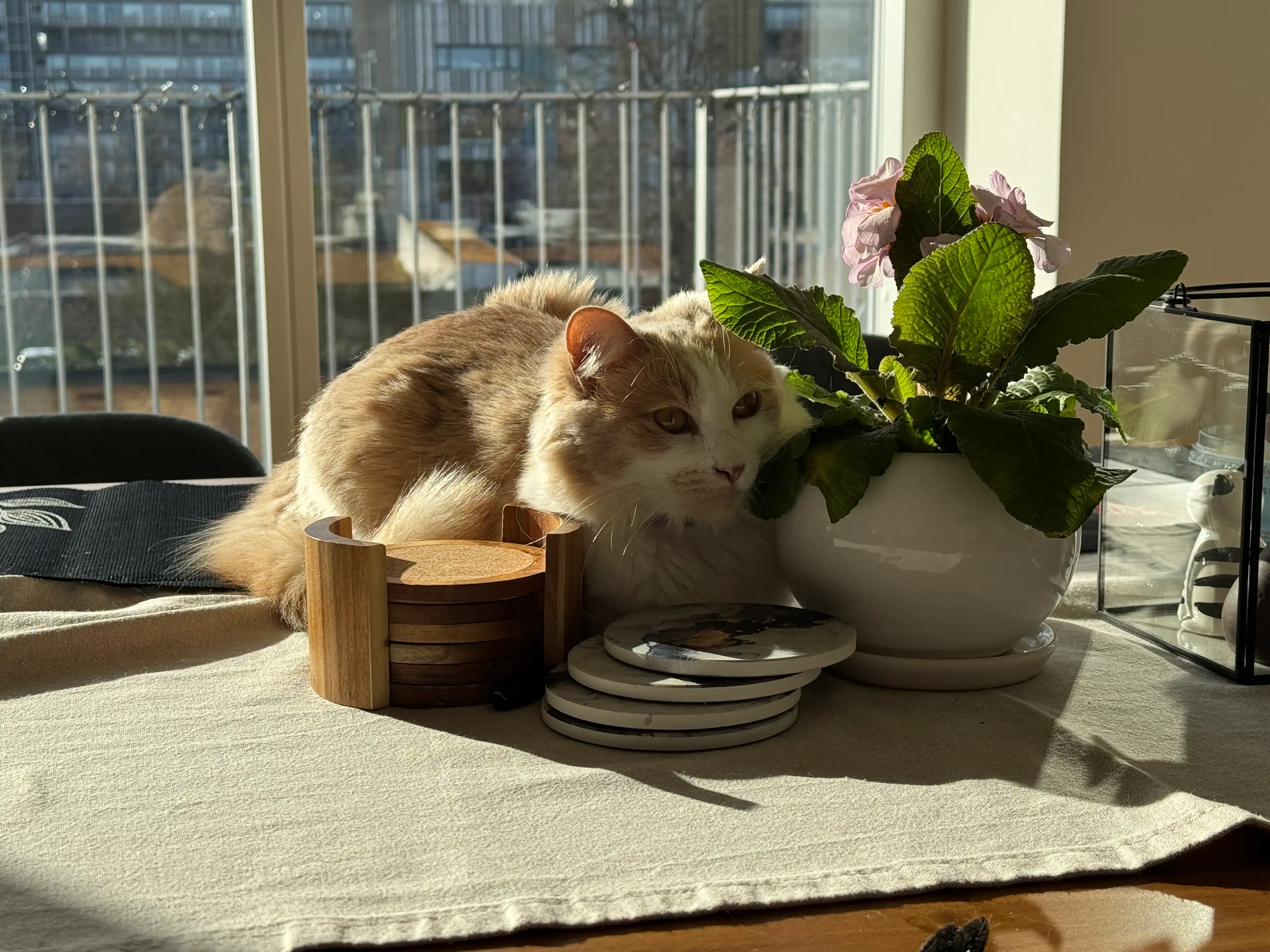 image-16