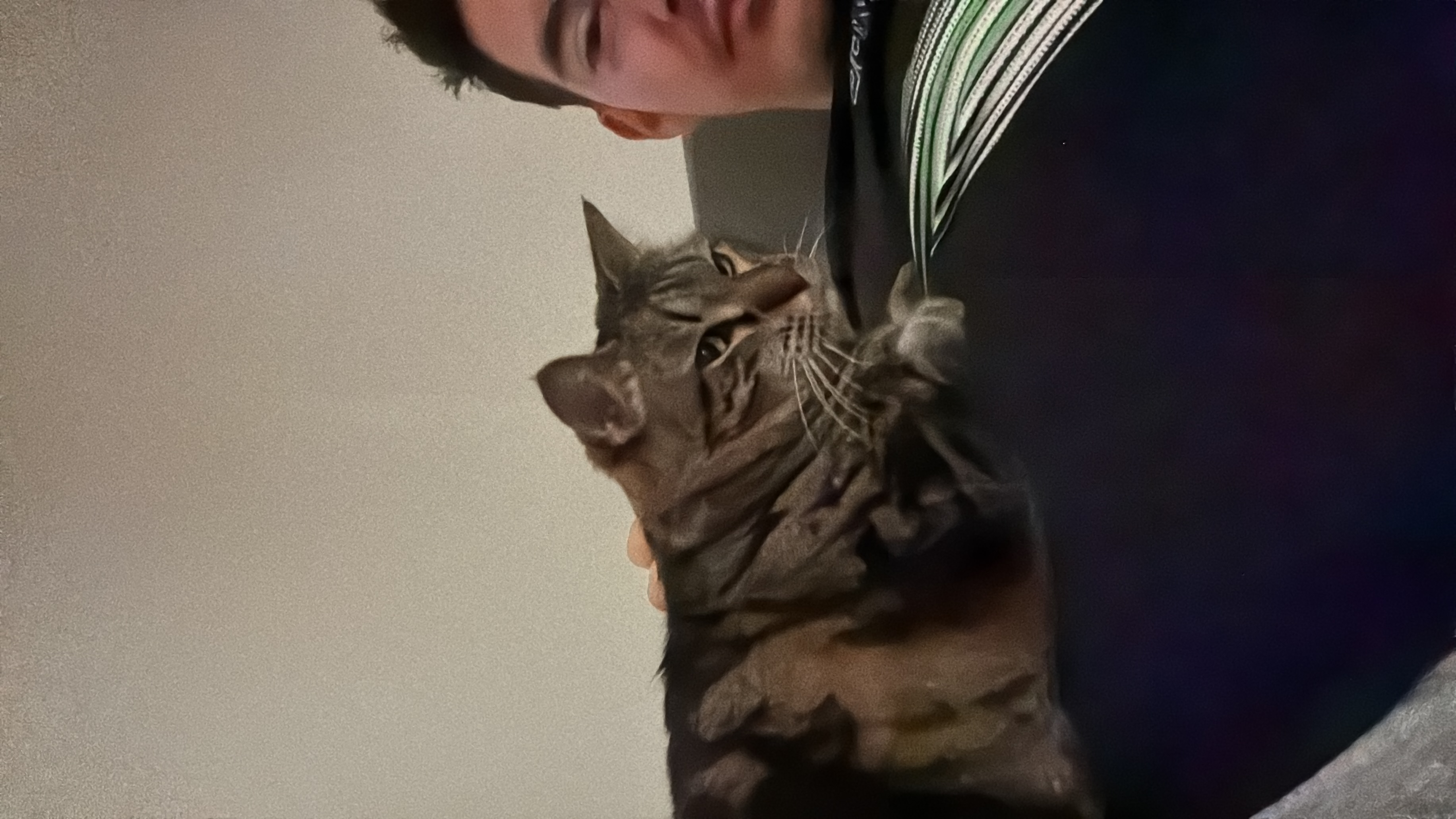image-8