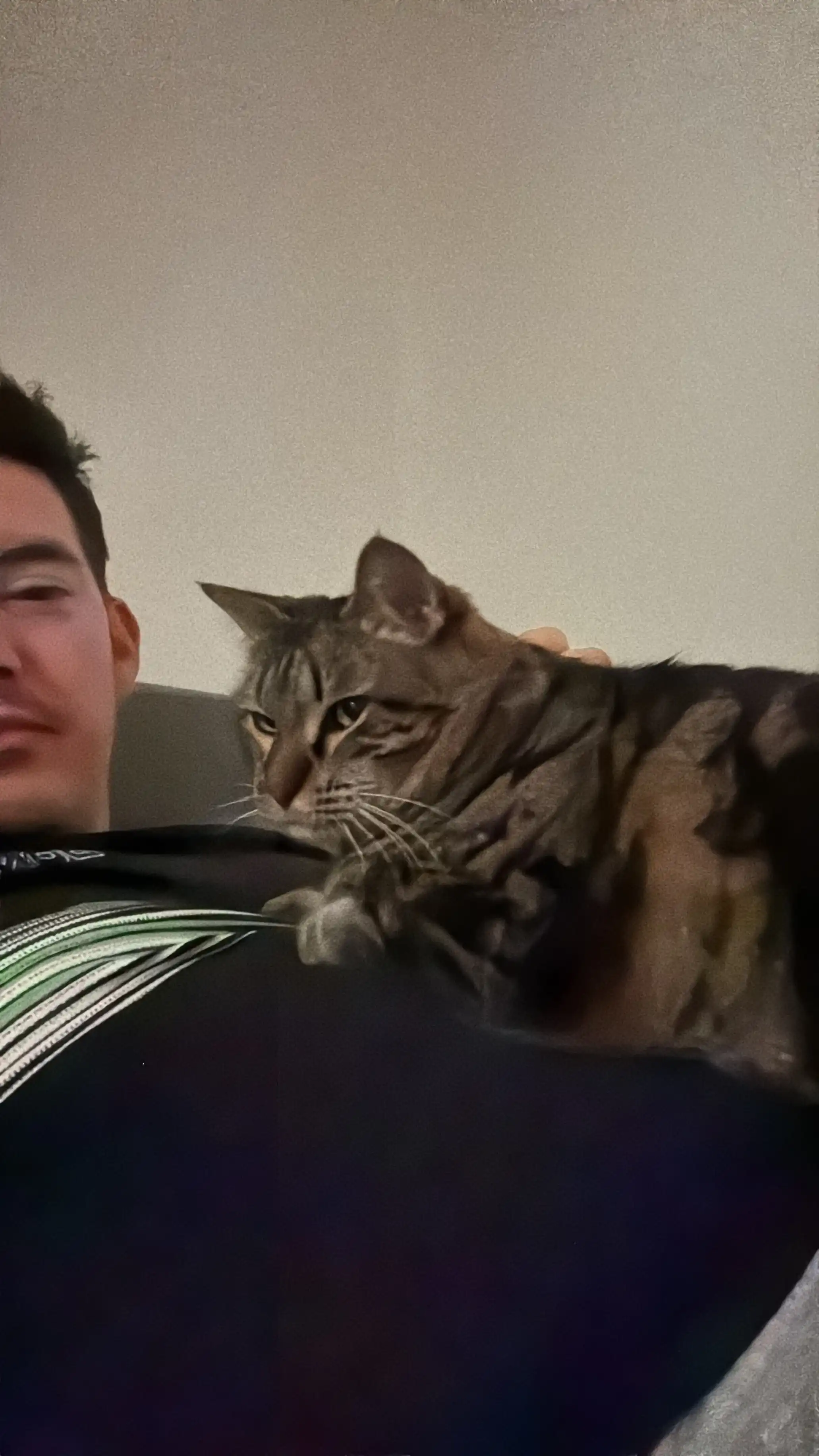image-8