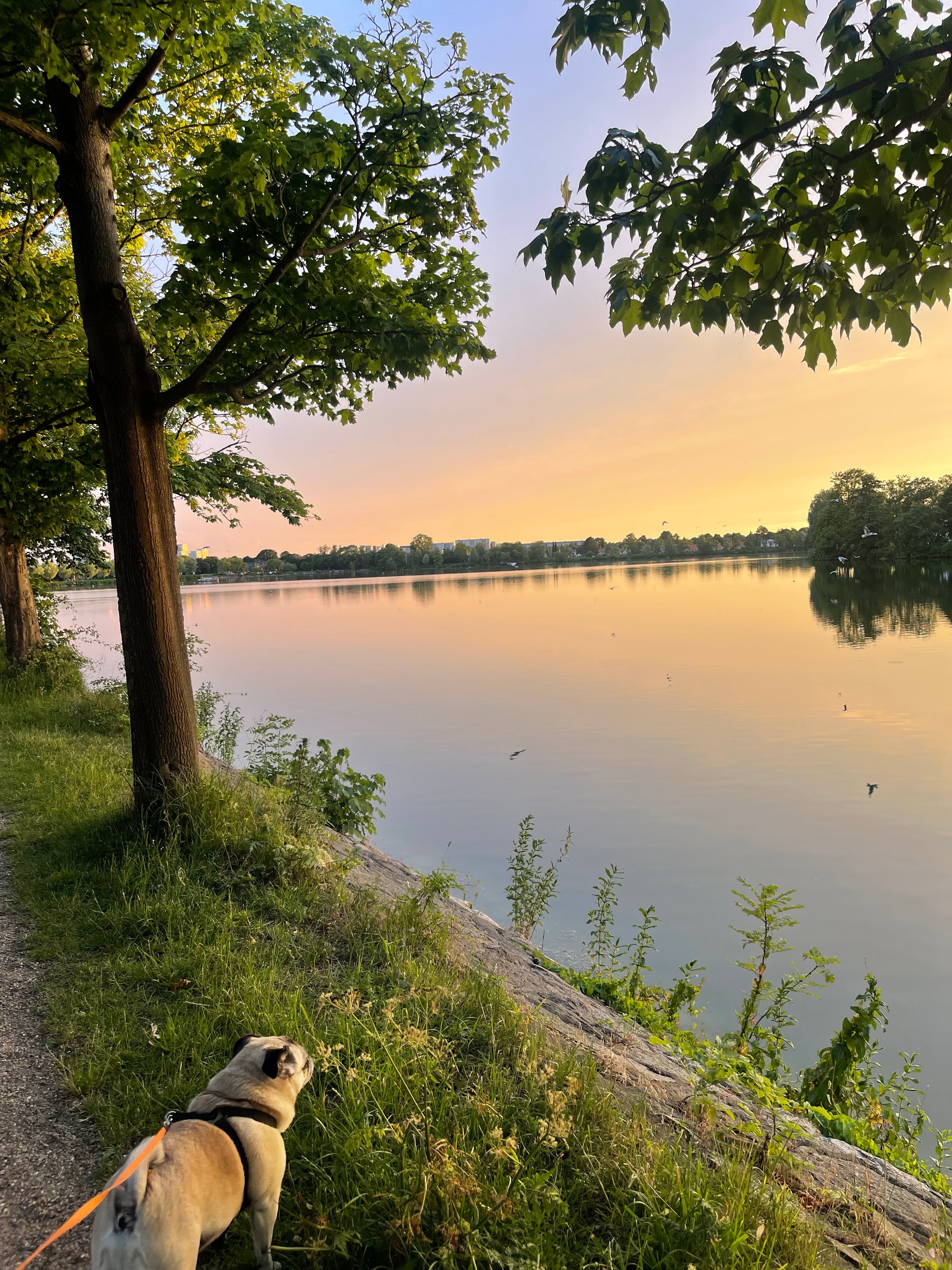 image-16