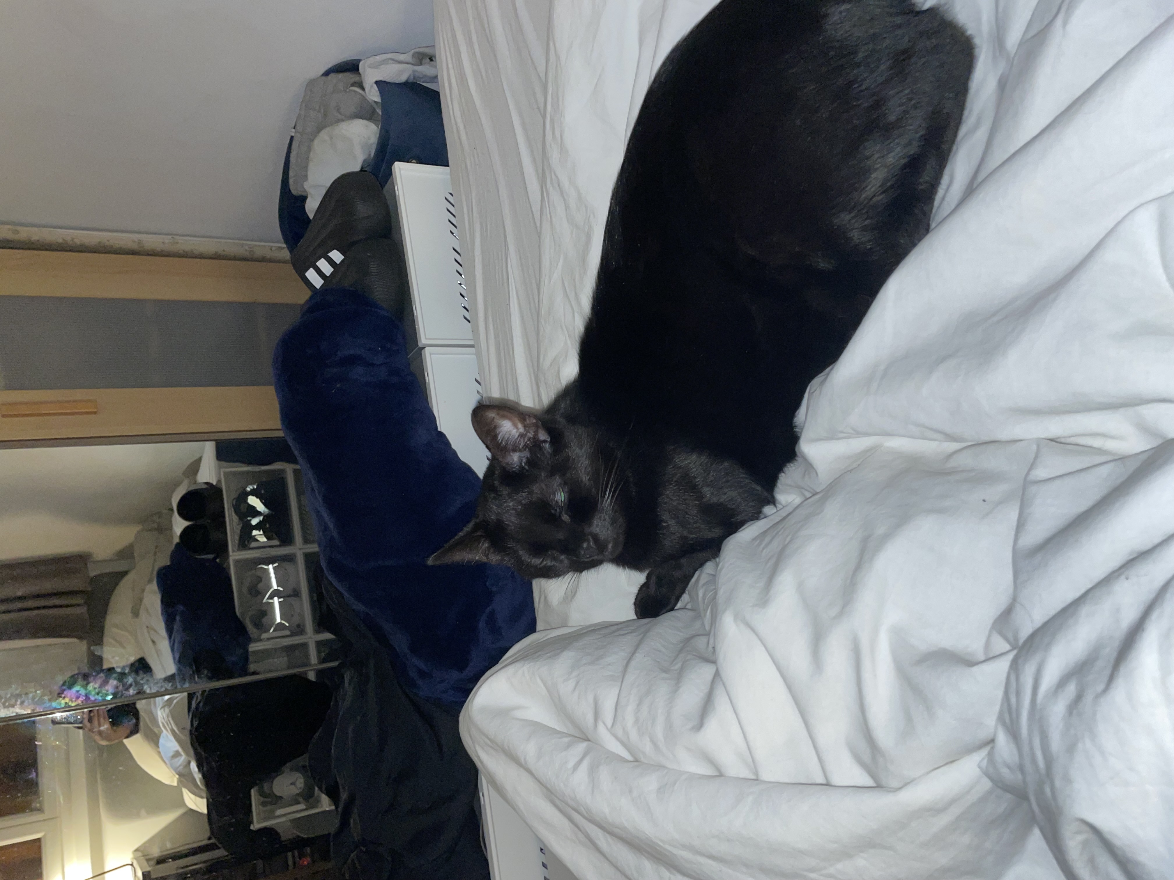 image-6