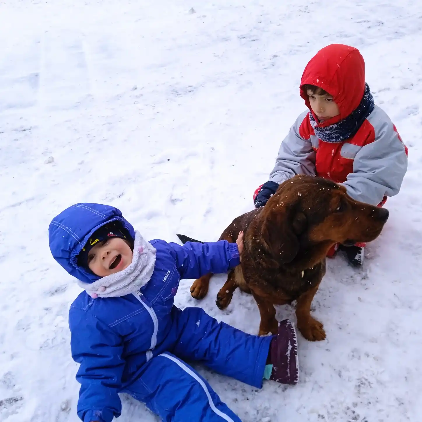 image-14