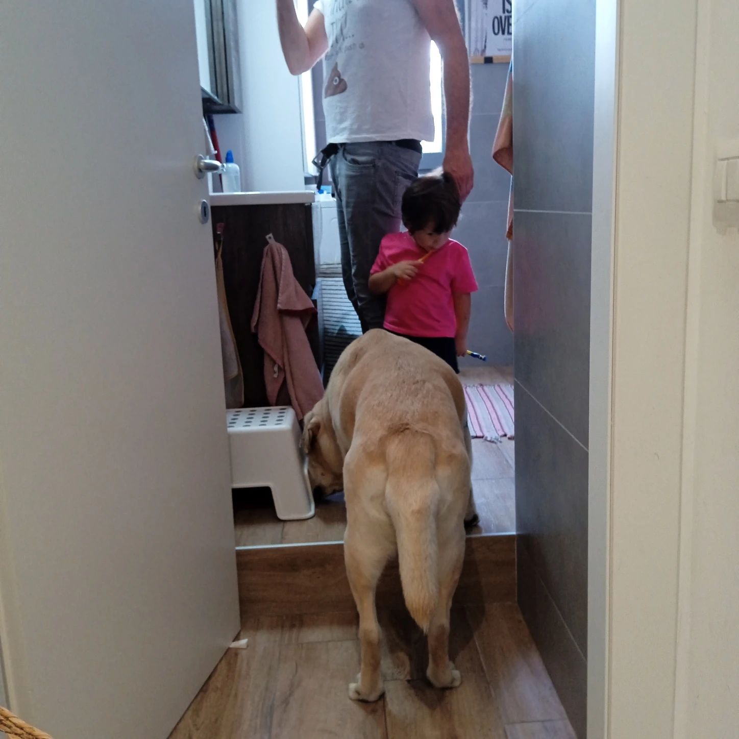 image-24