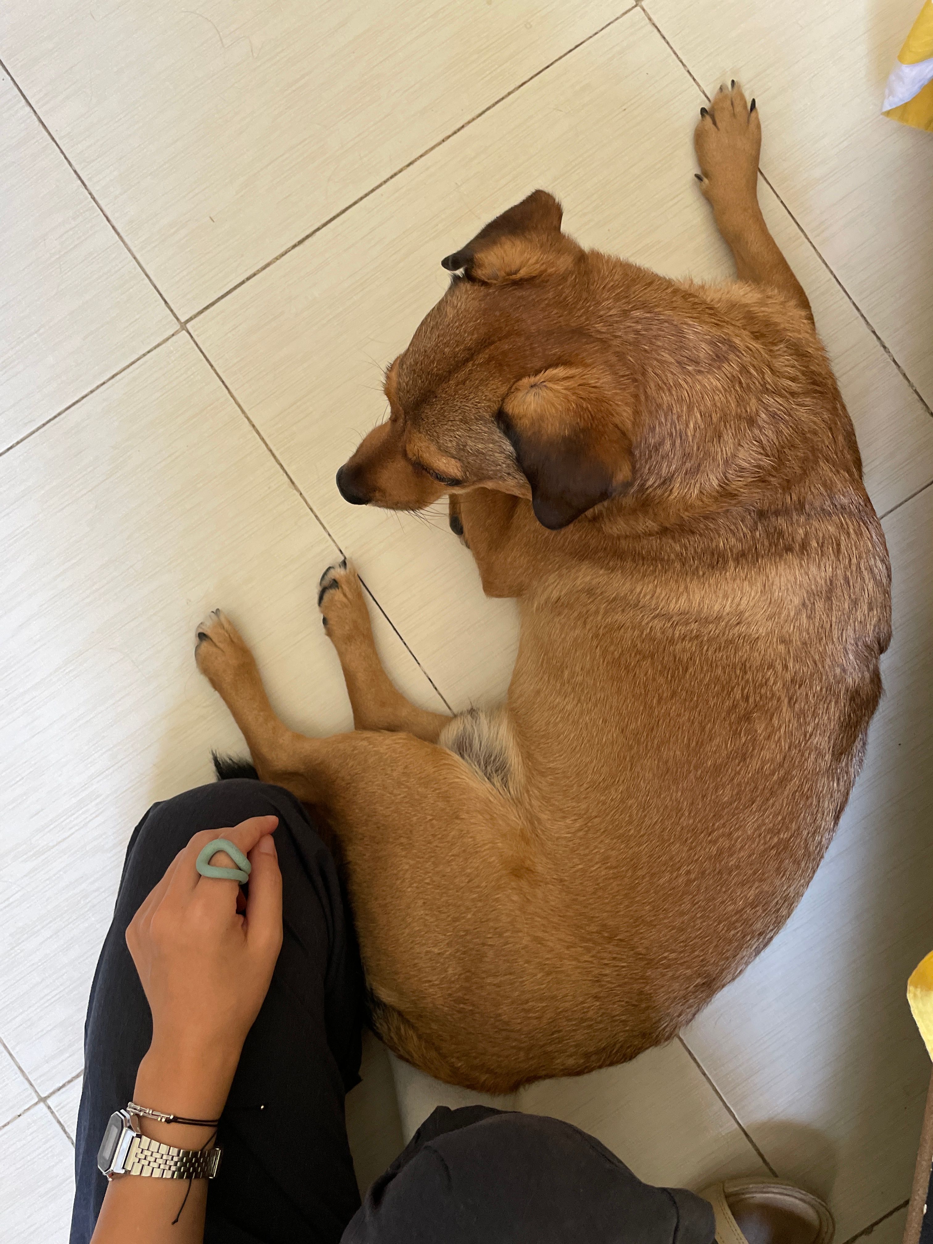 image-8