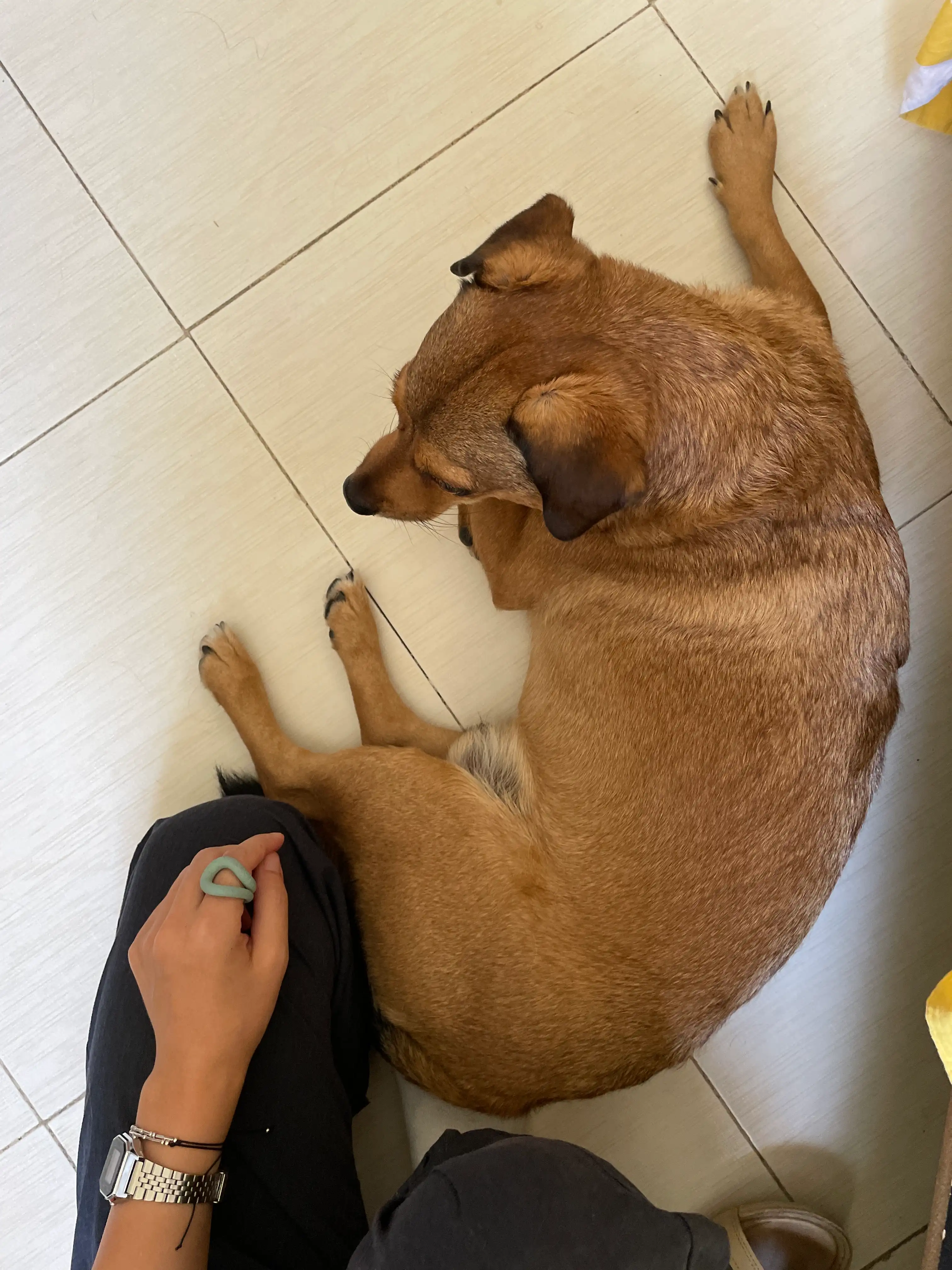 image-8