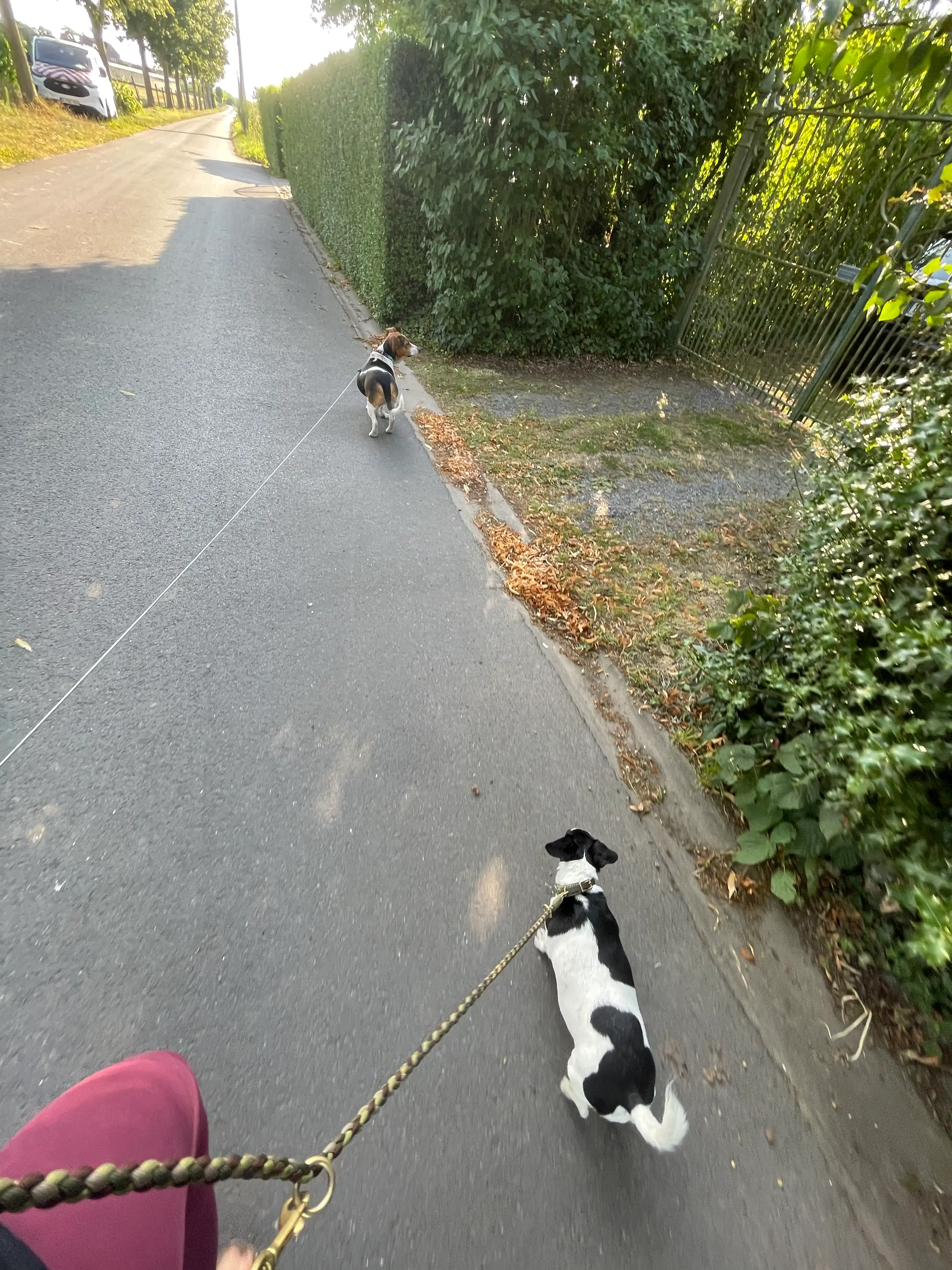 image-22