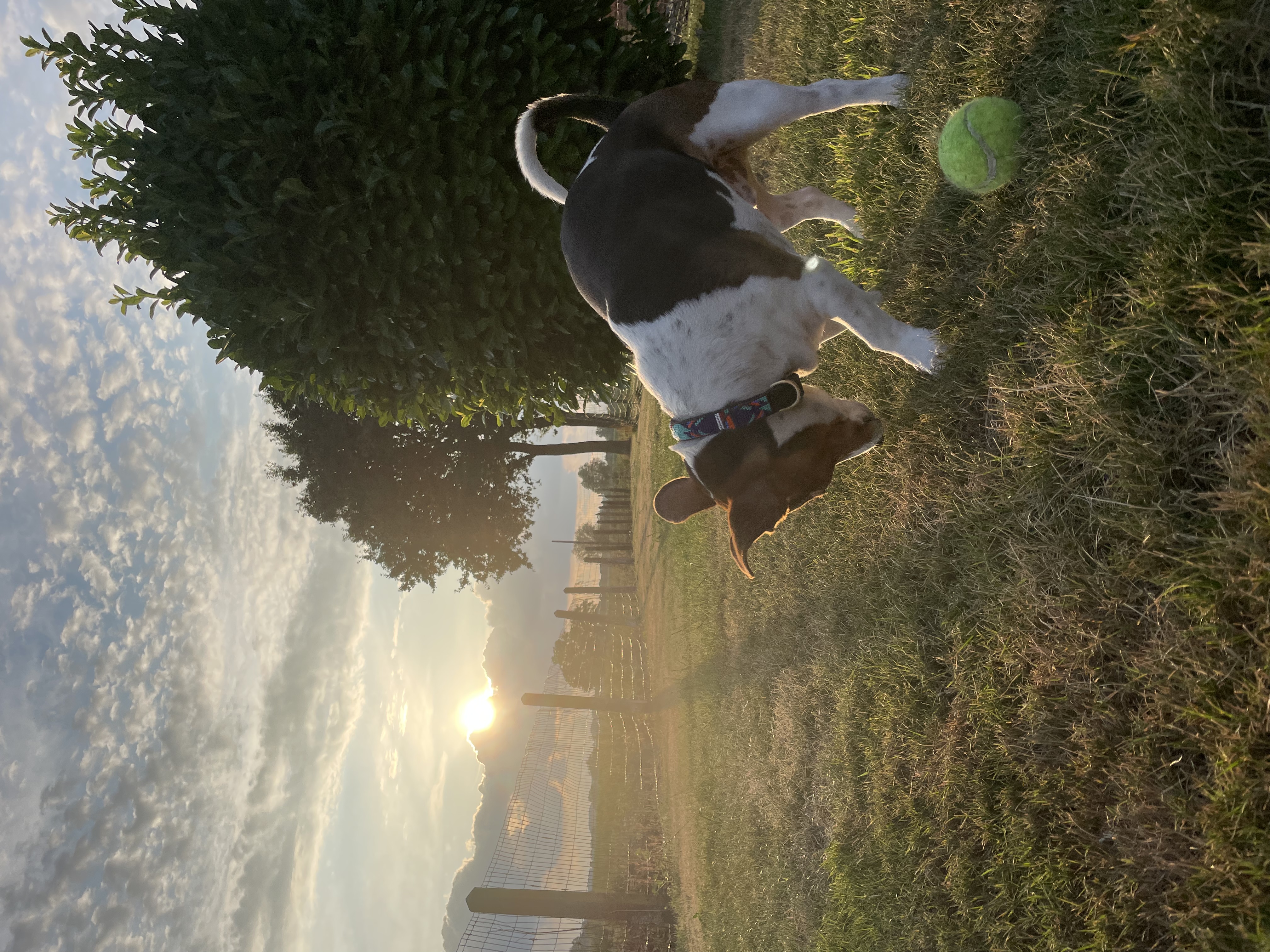 image-18
