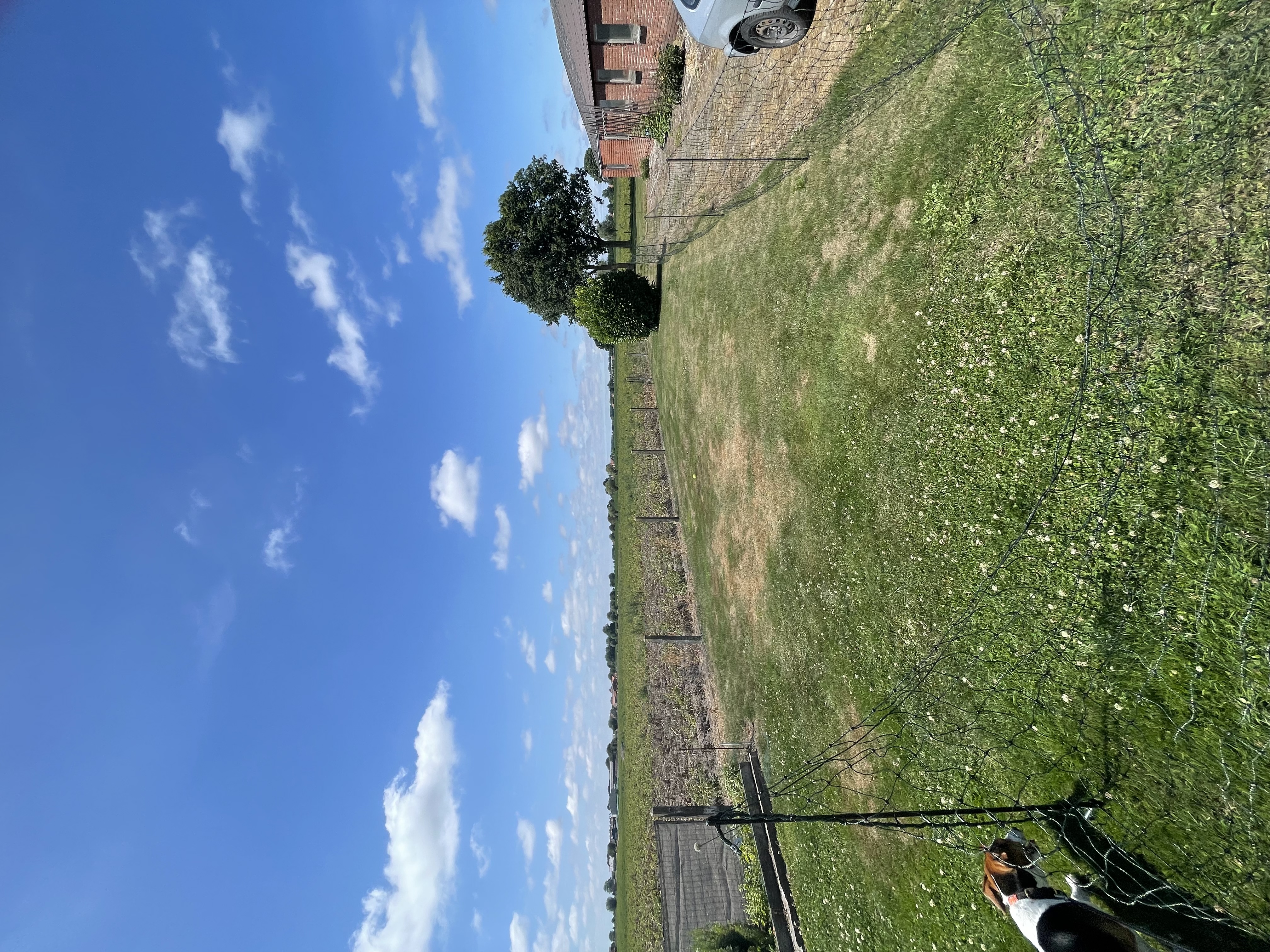 image-33
