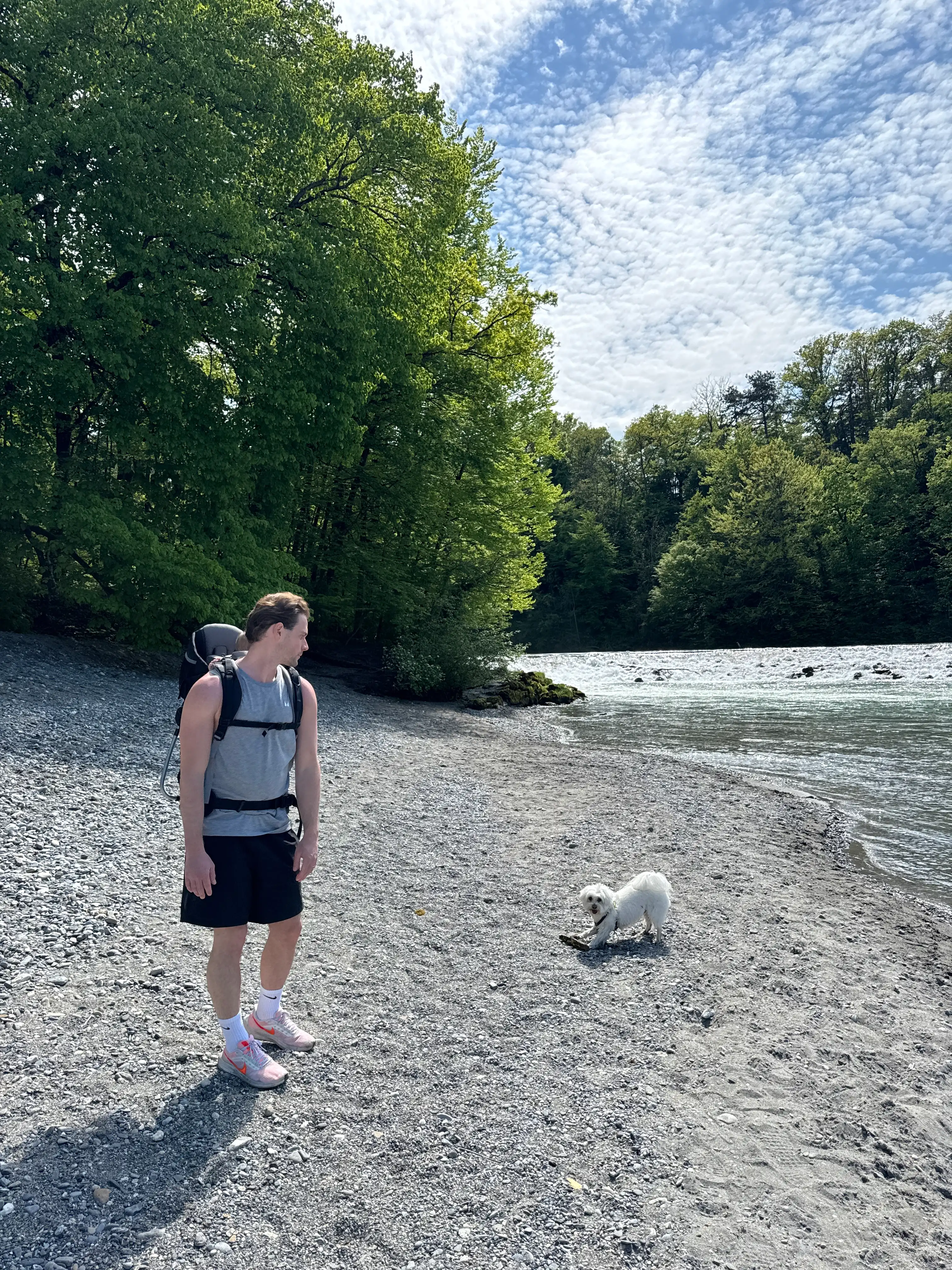 image-19