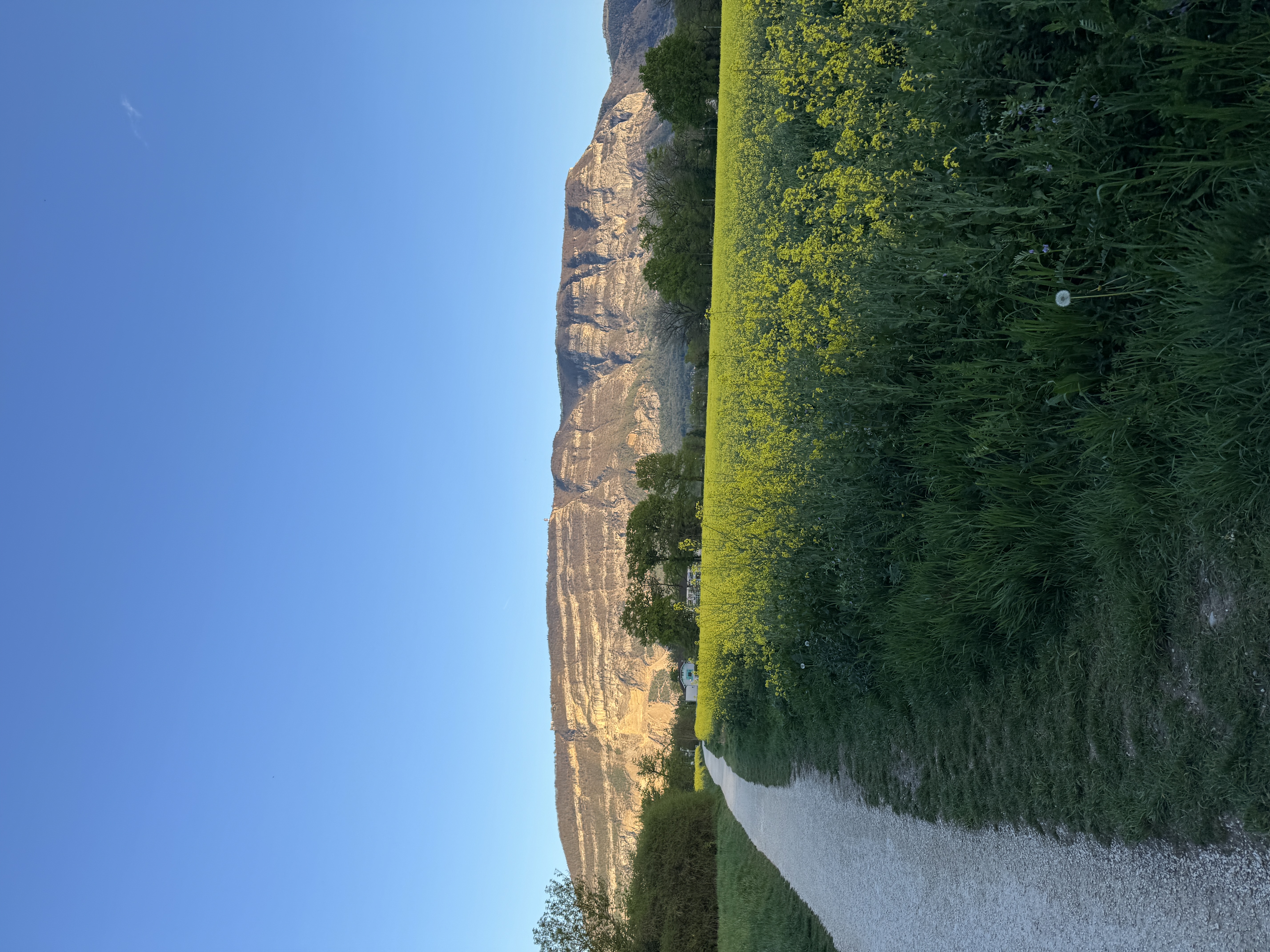 image-17