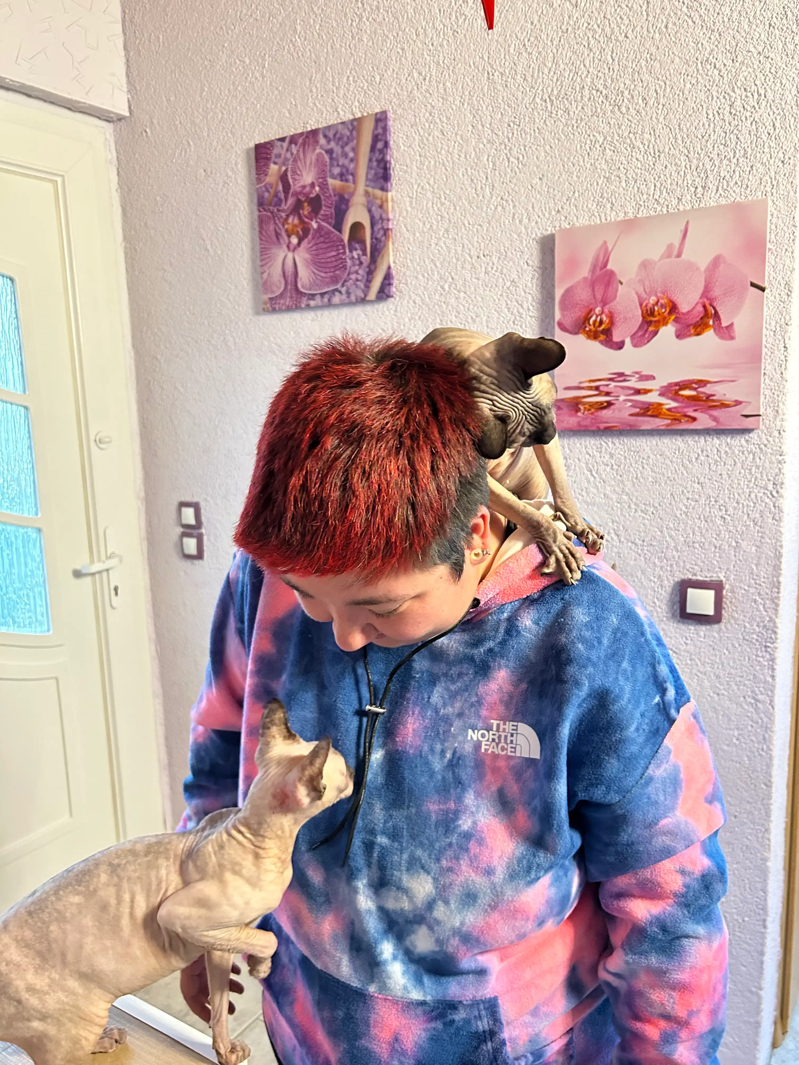 image-8