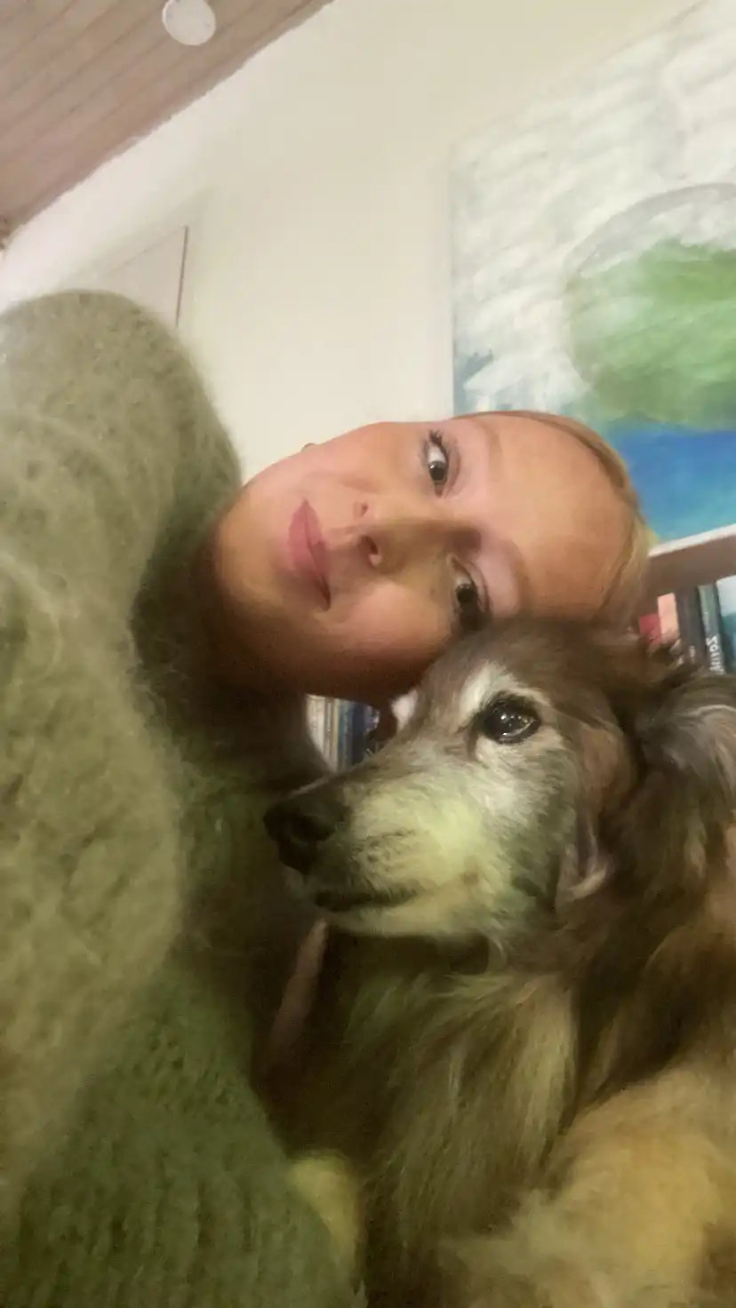 image-7