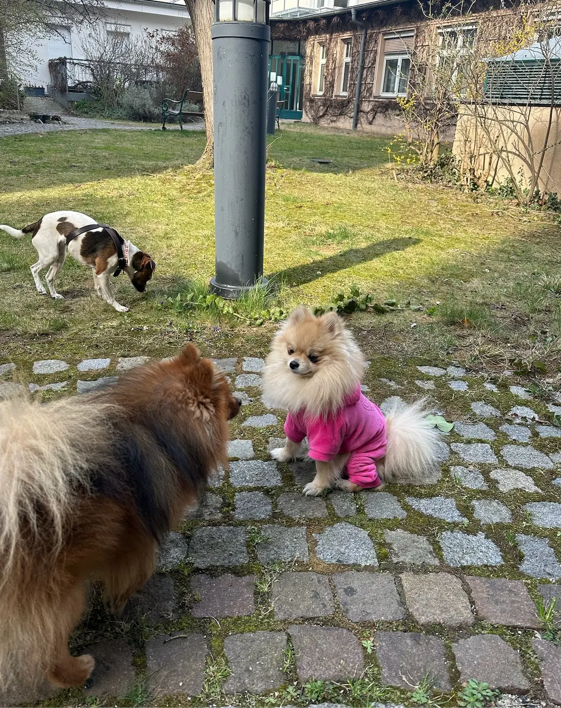 image-3