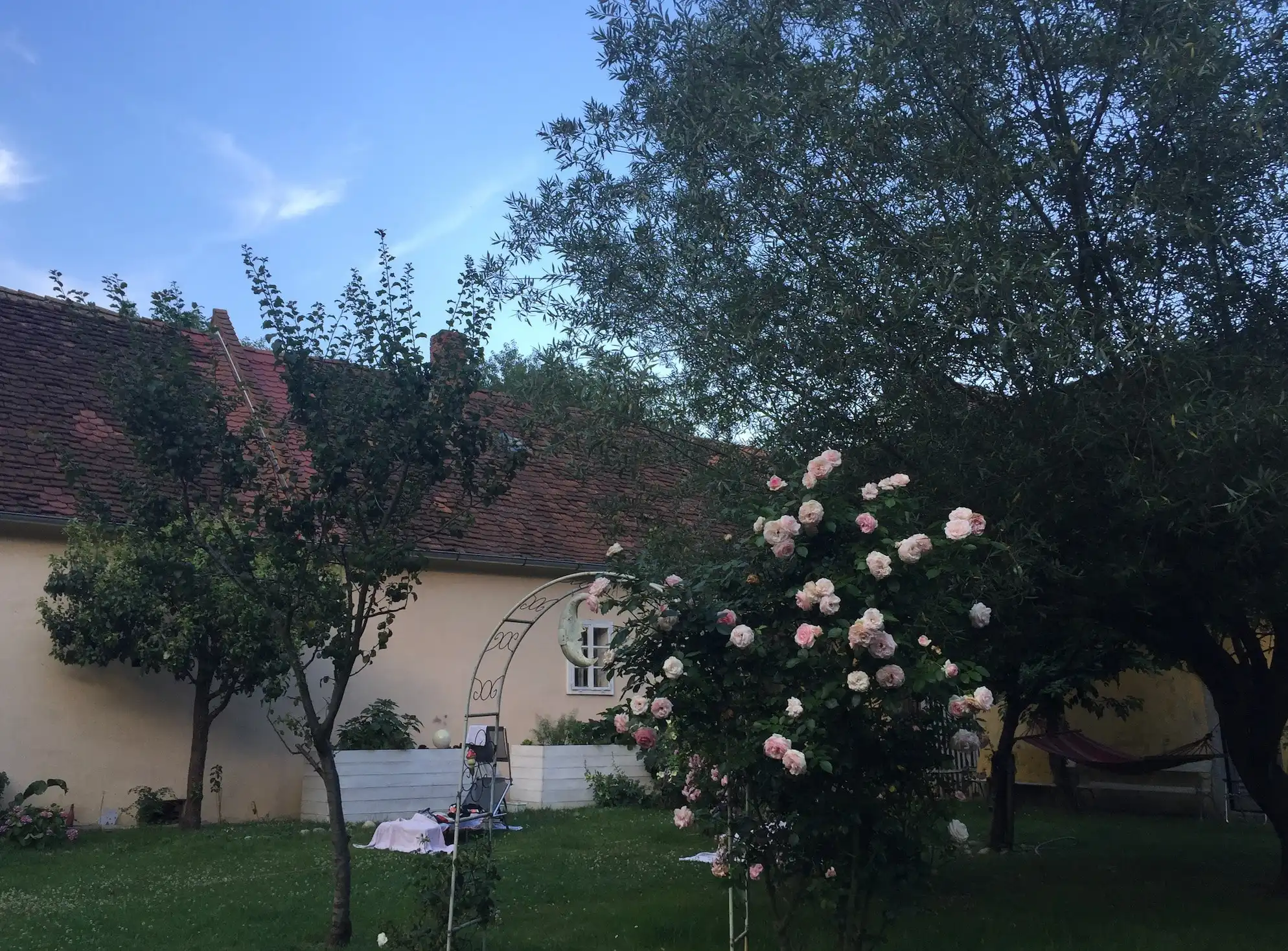 image-35