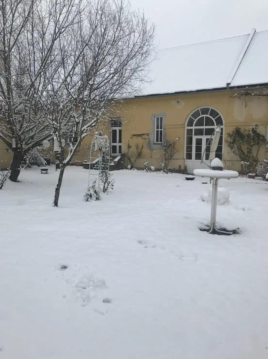 image-12