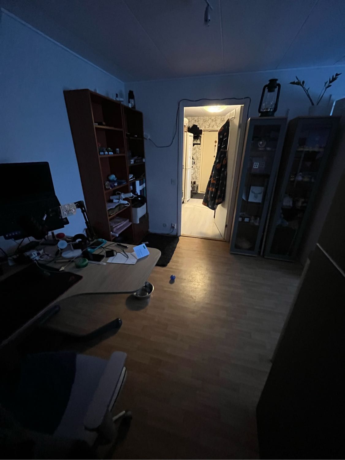 image-11