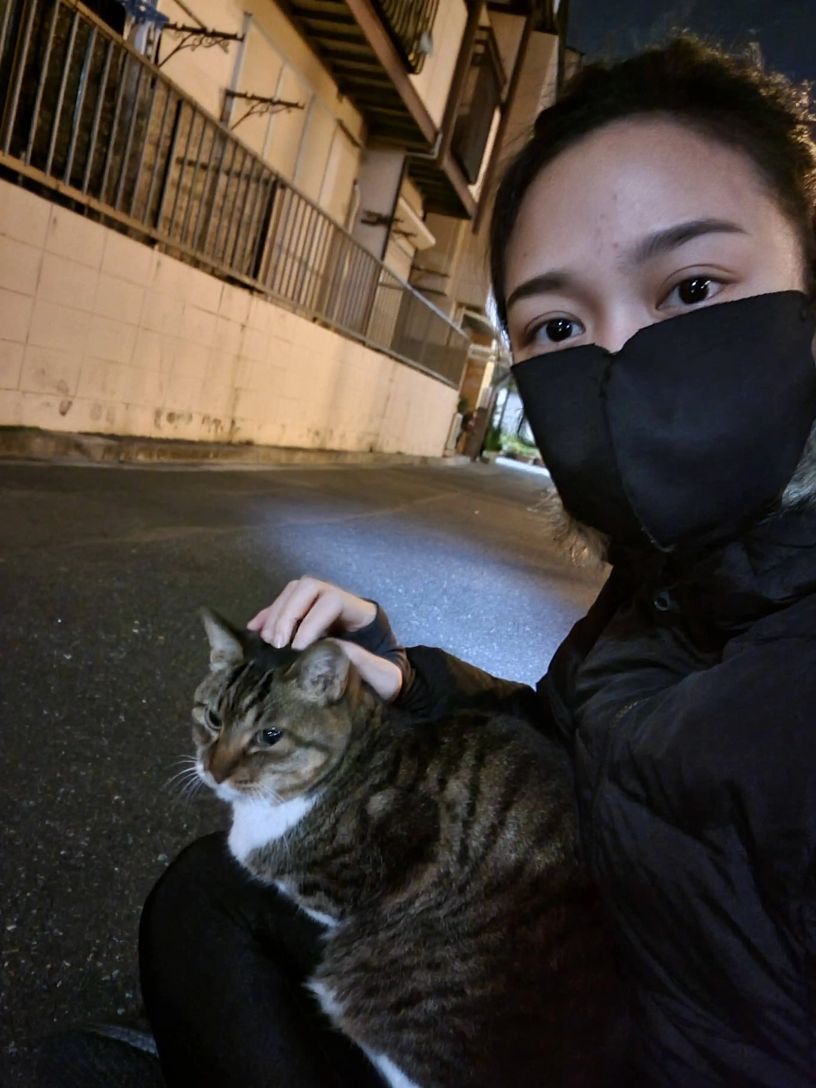 image-14