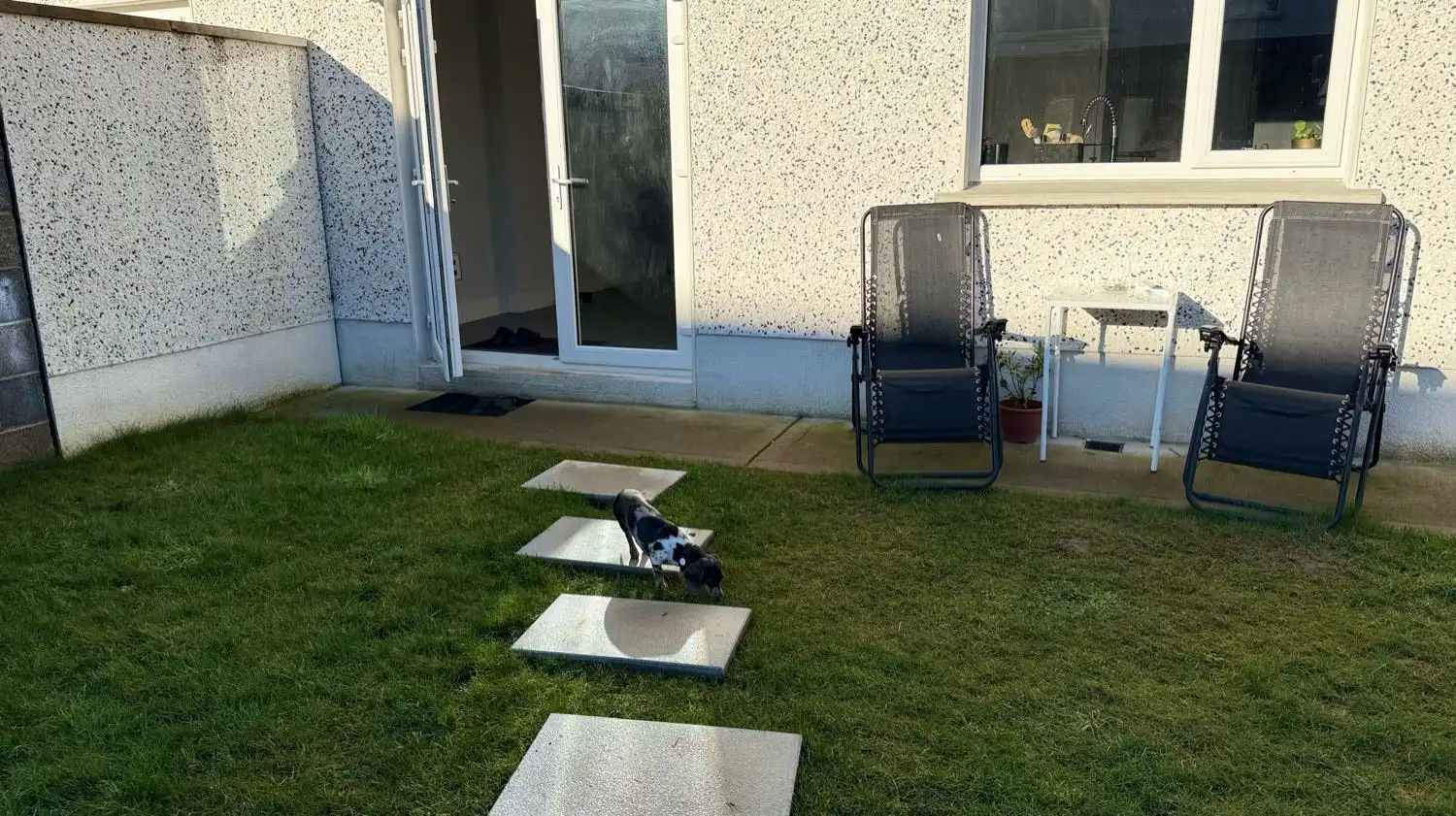 image-8