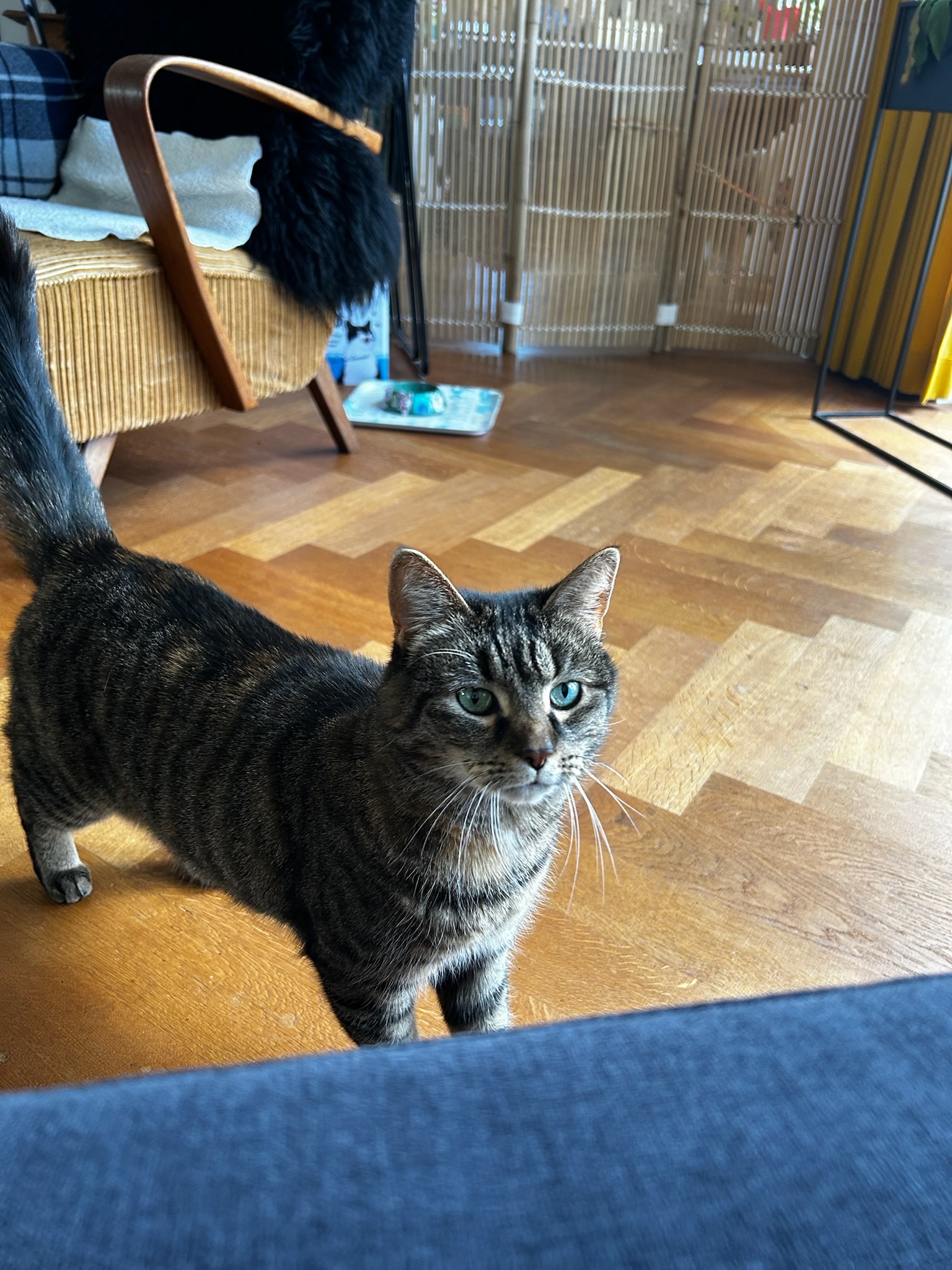image-20