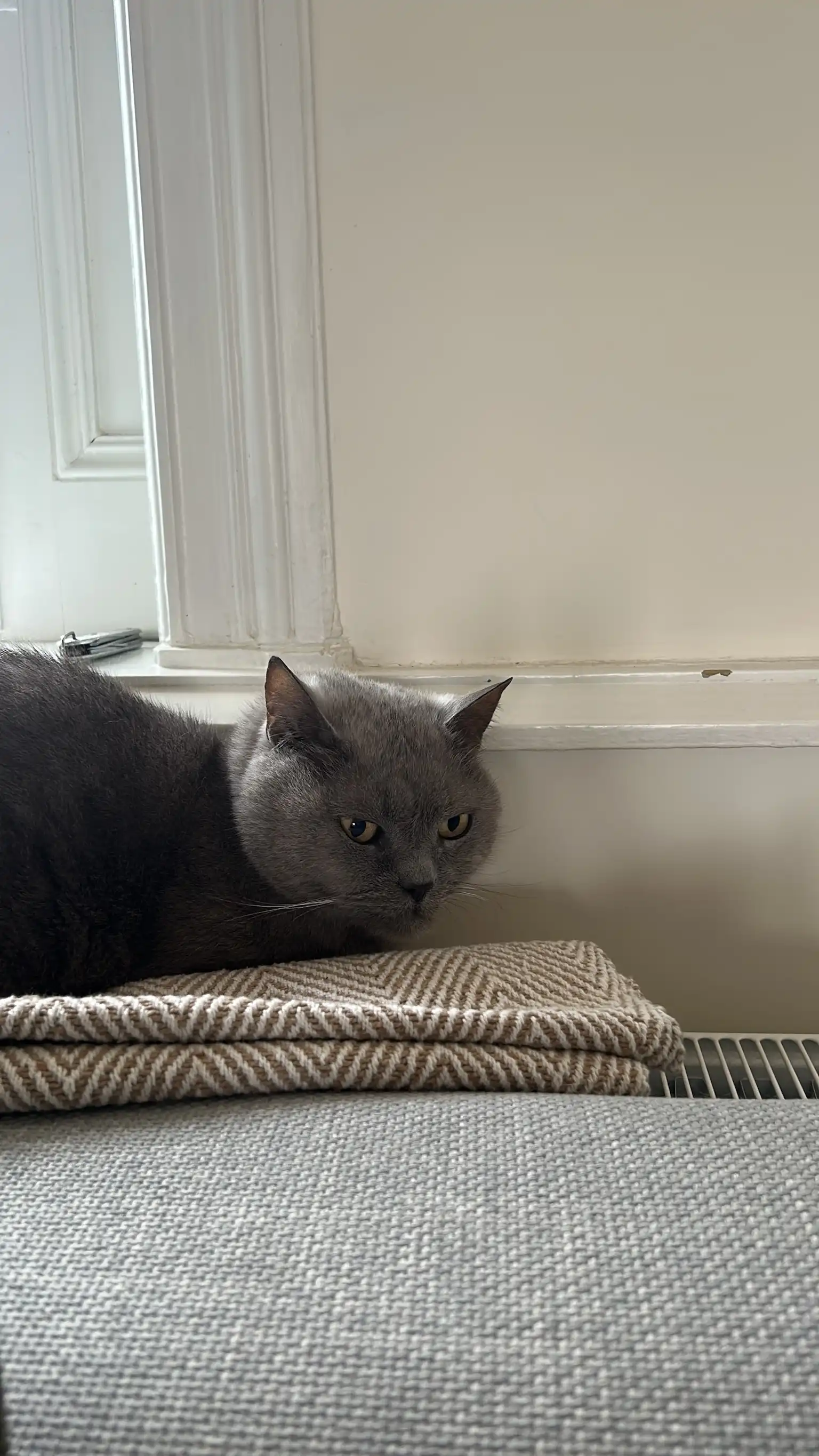 image-19