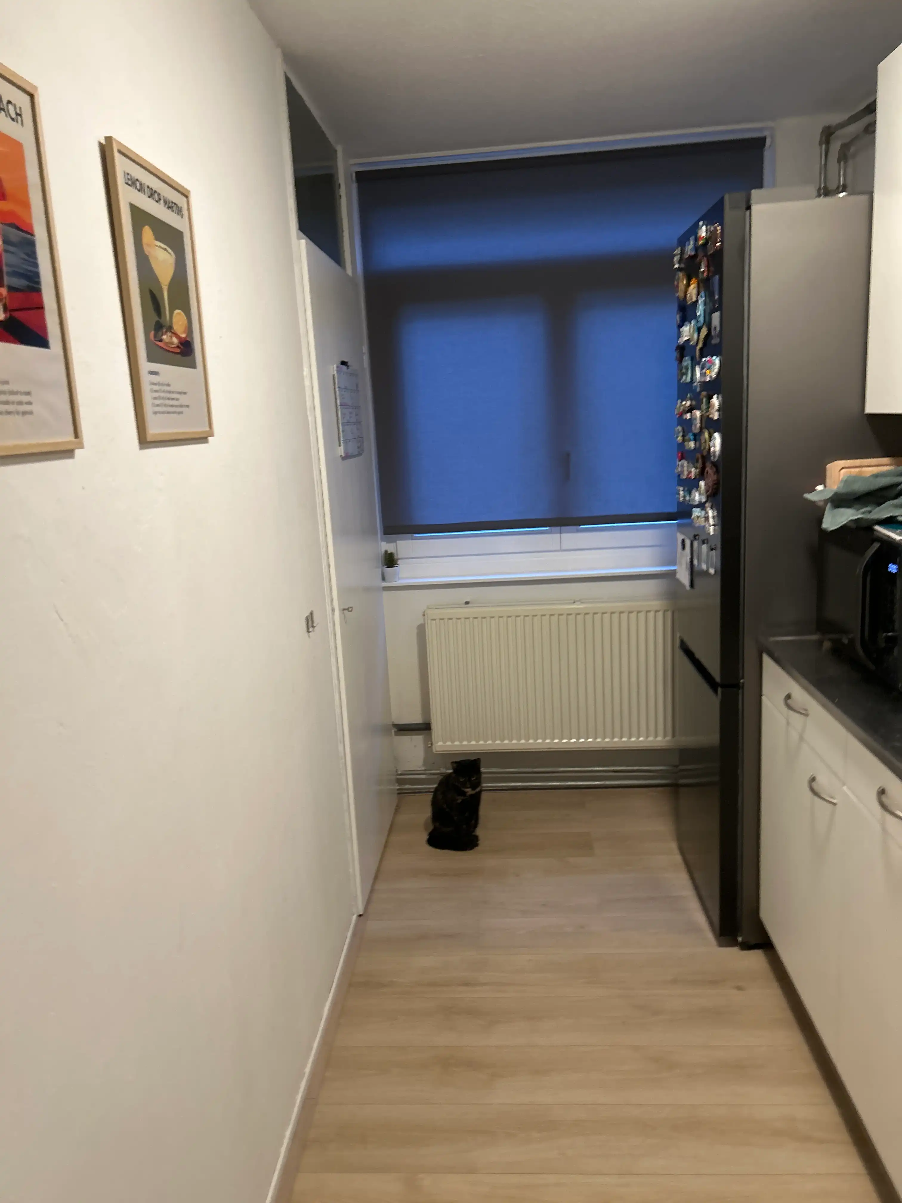 image-29