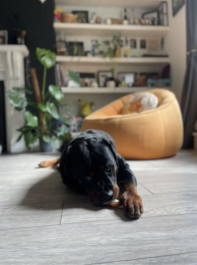 image-10