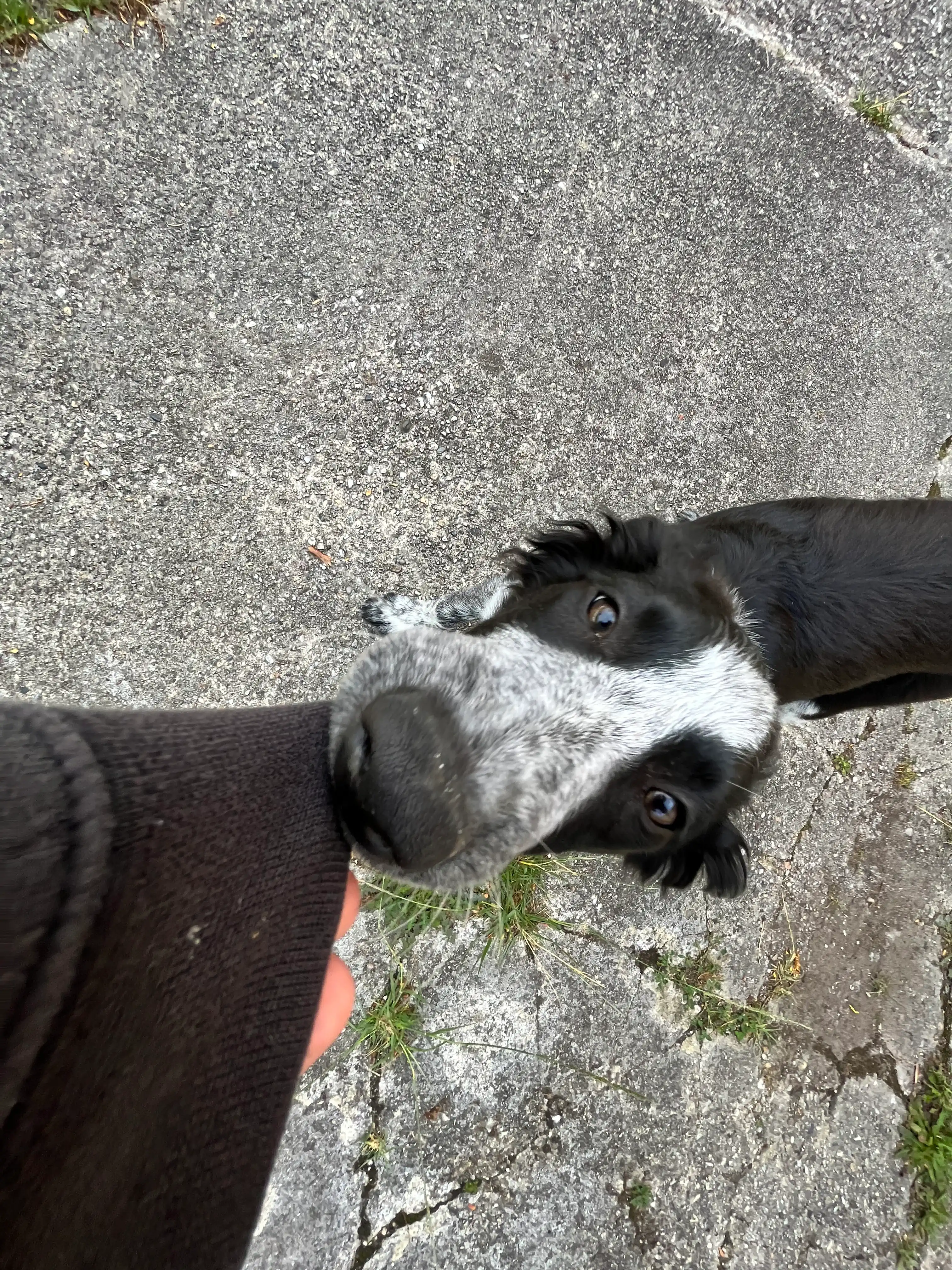 image-8