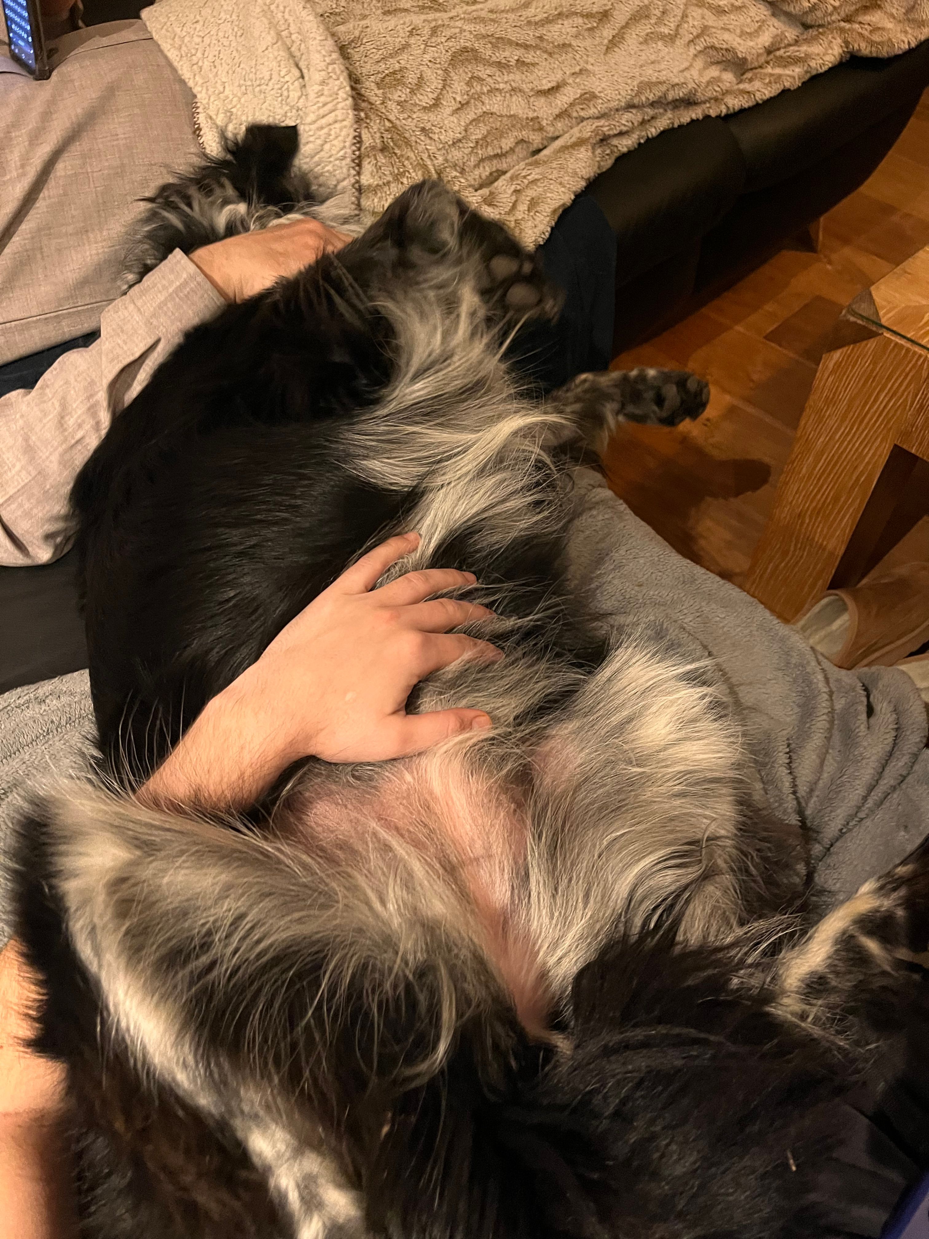 image-9