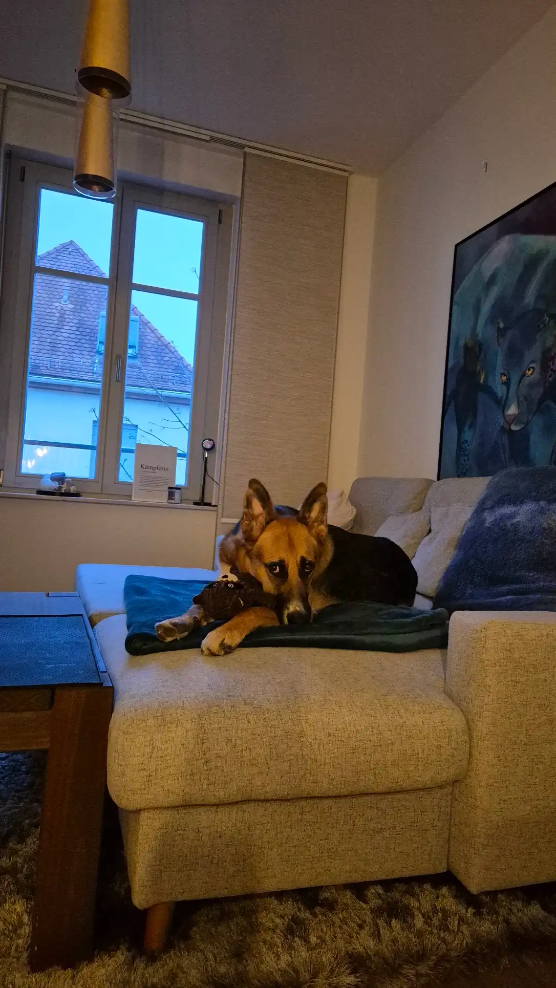 image-16