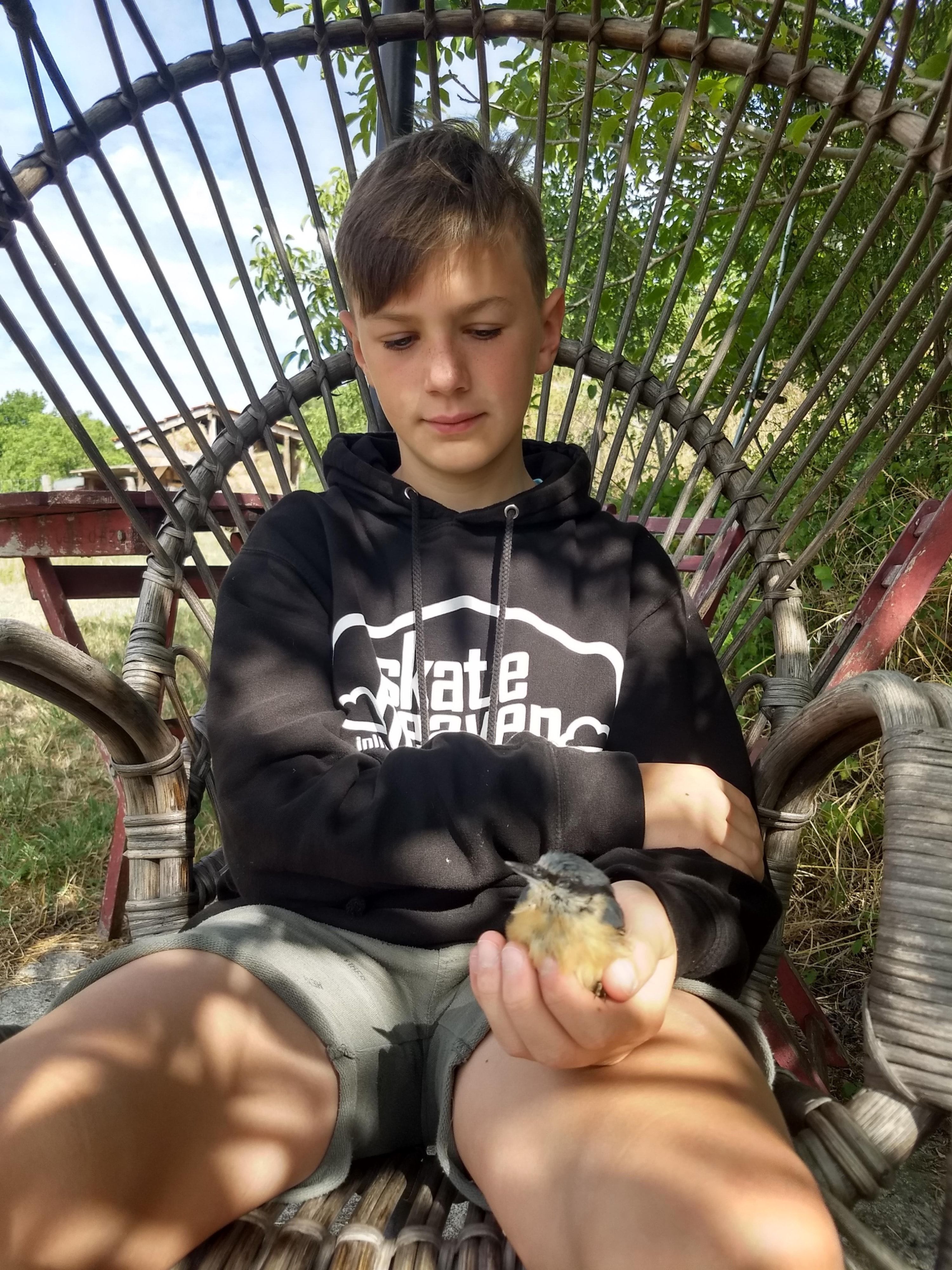 image-4