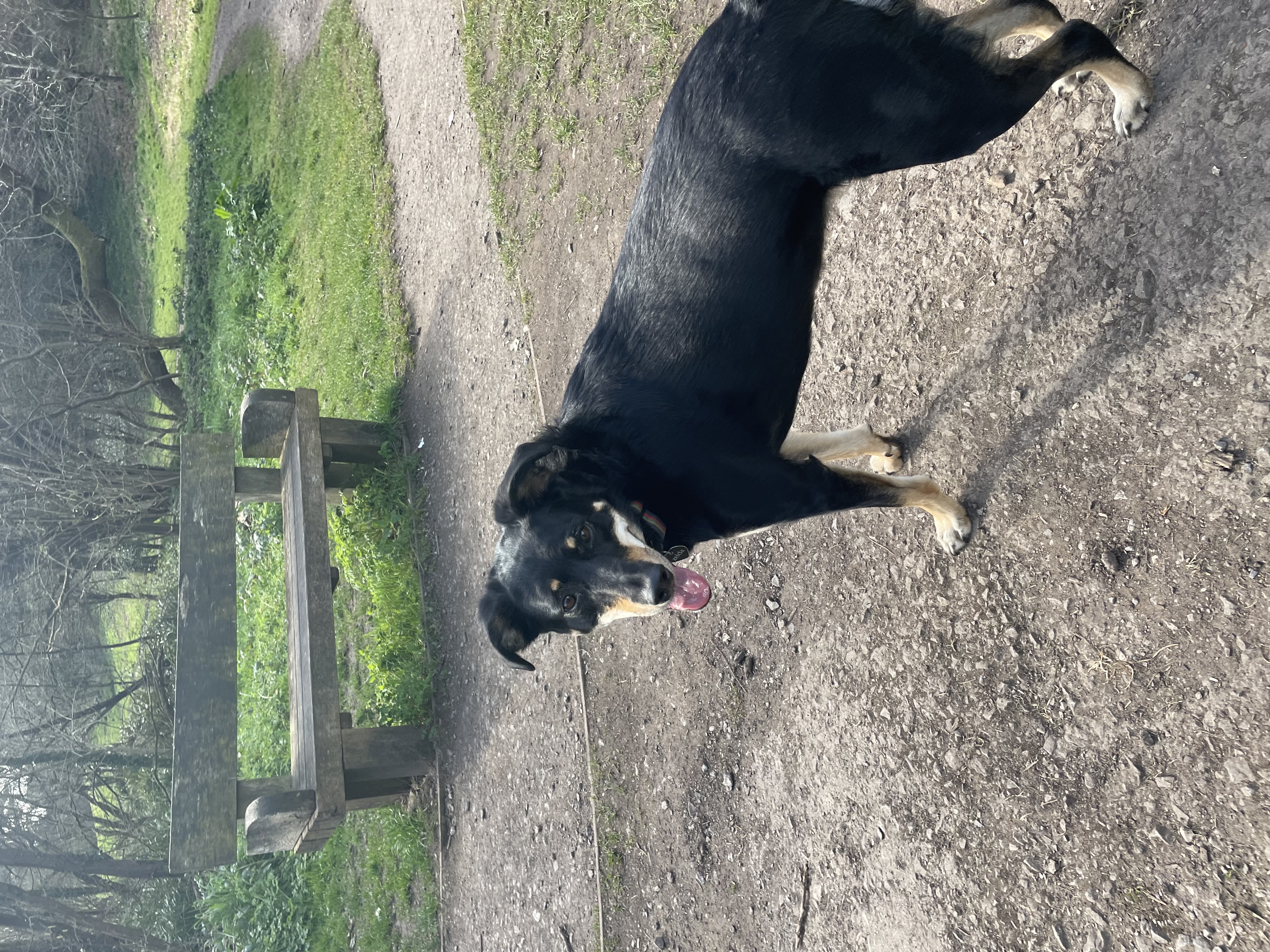 image-14