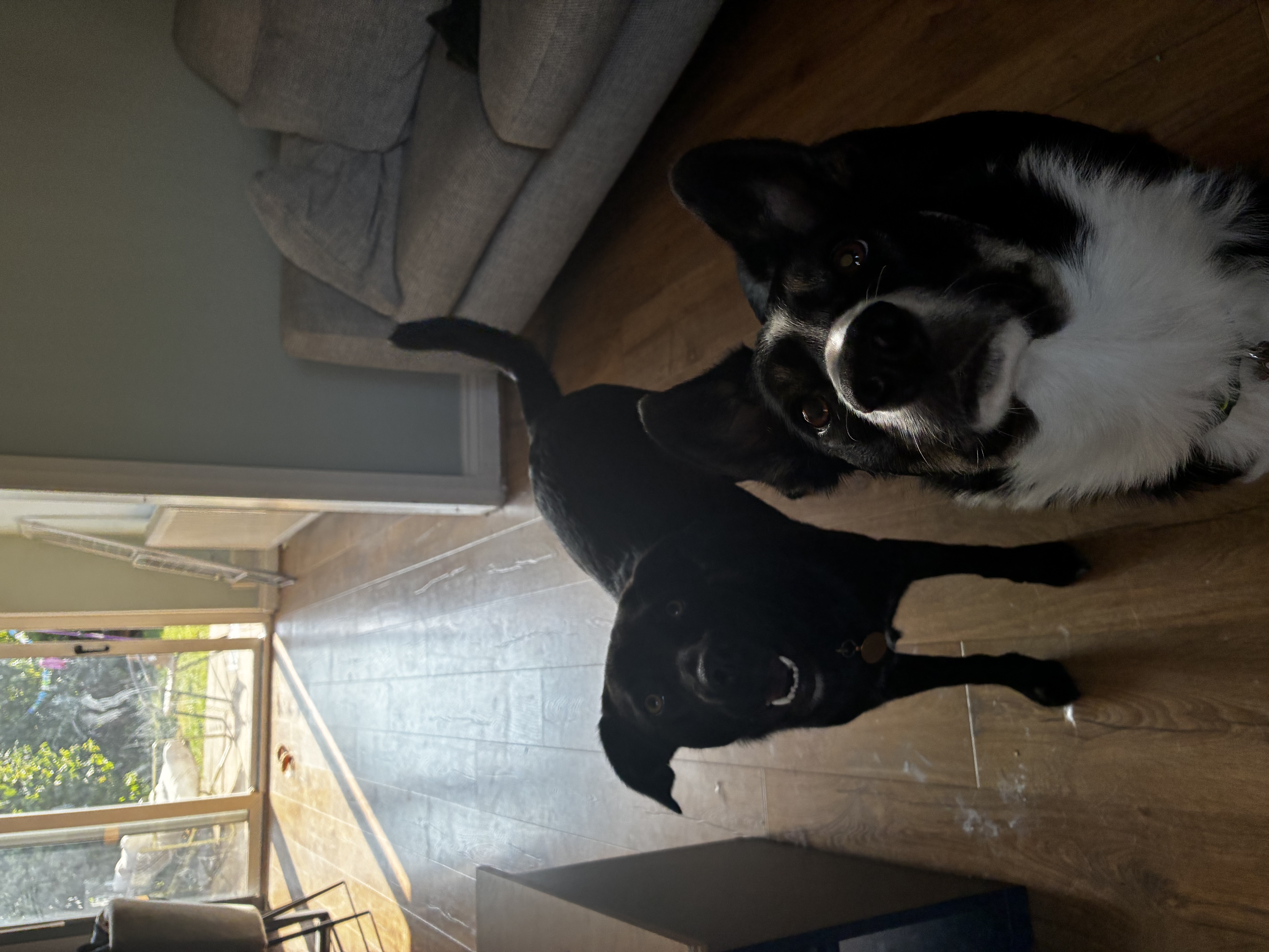 image-16