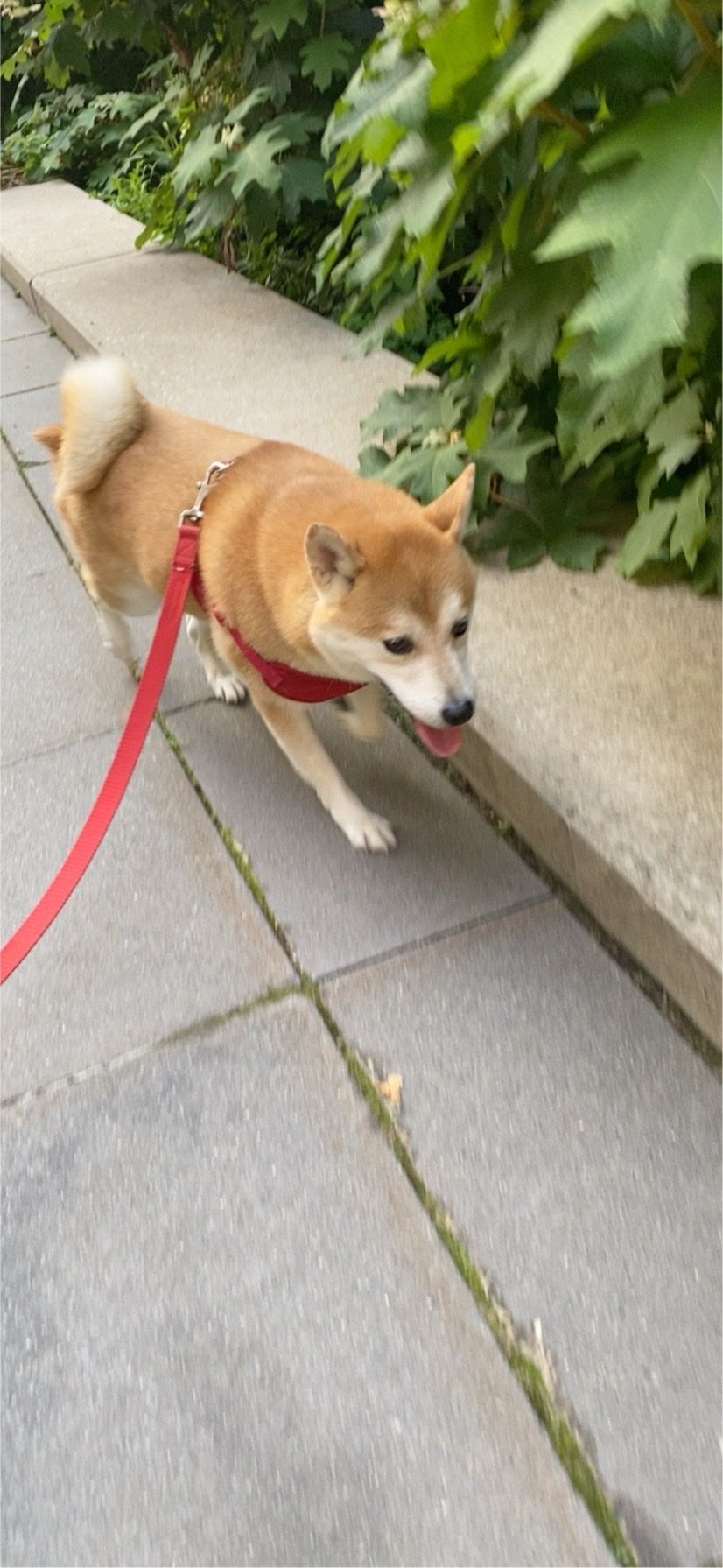 image-18