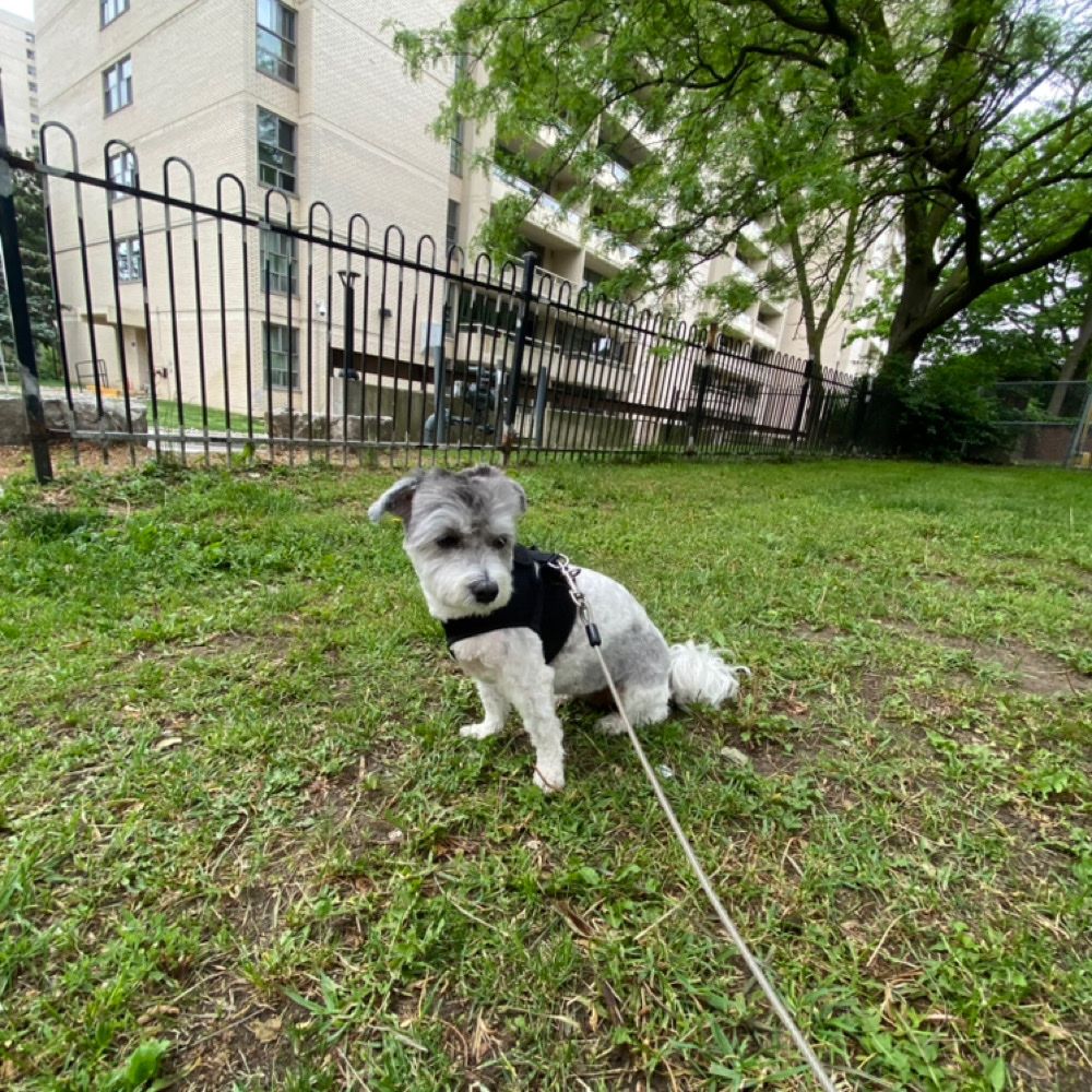 image-16