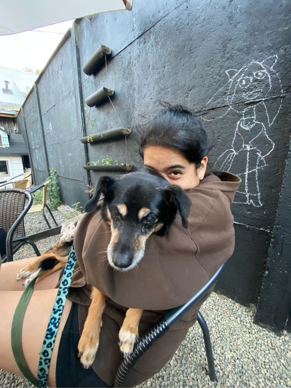 image-8