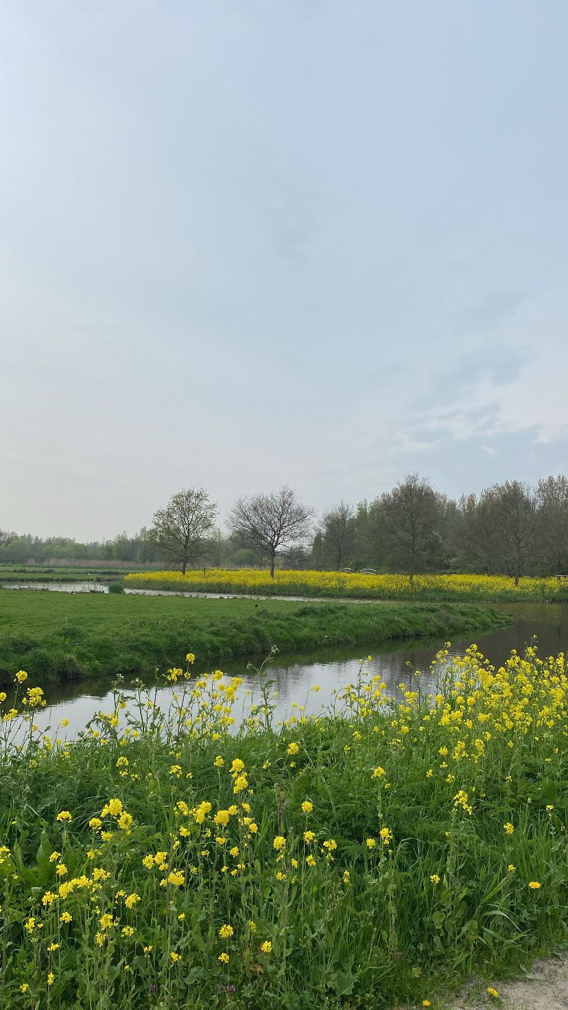 image-42