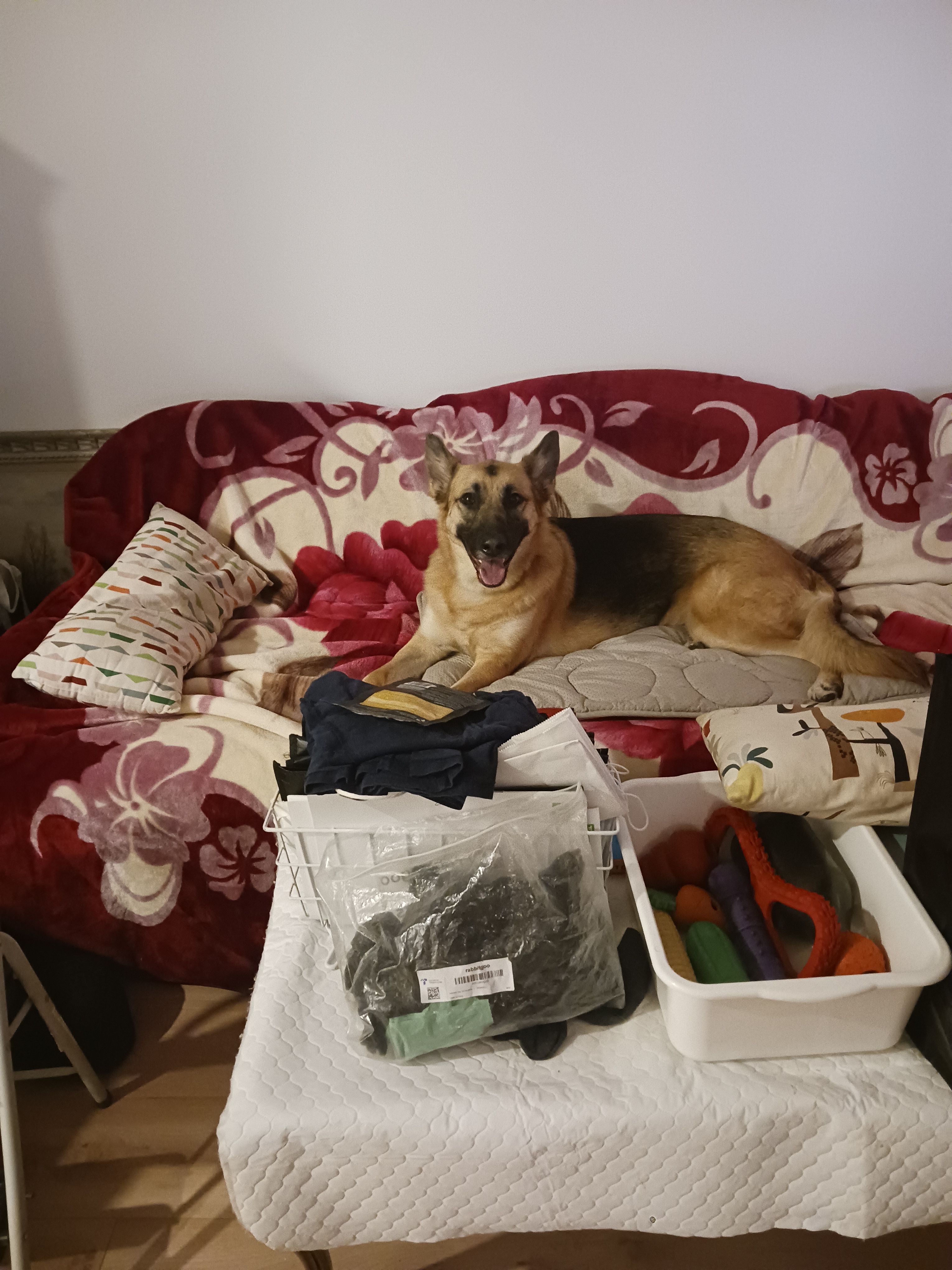 image-5