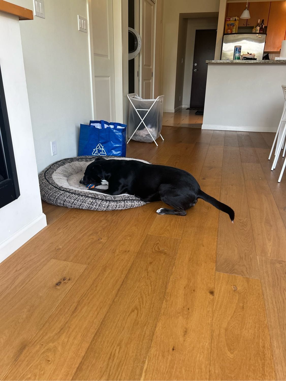 image-17